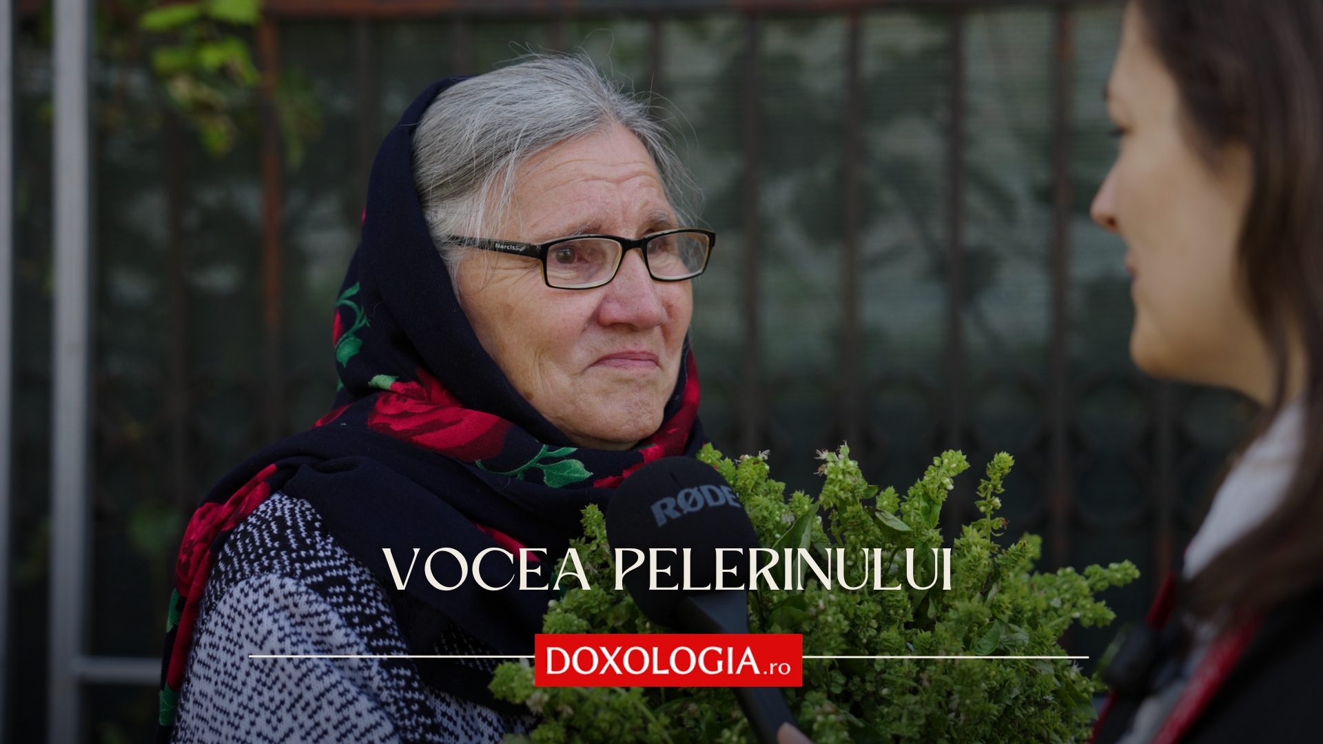 (Video) Dragul și dorul de Sfânta Parascheva îi cheamă la Iași
