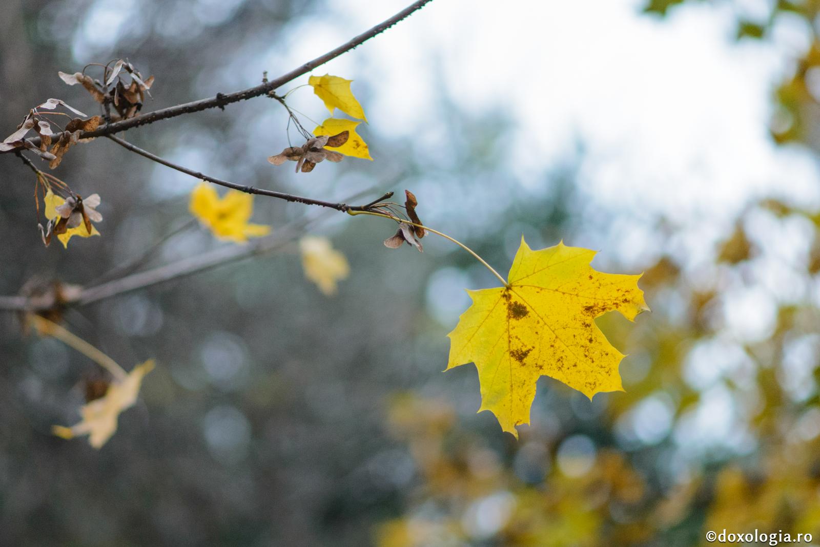Starea vremii la Hramul Sfintei Parascheva. Sfaturi pentru pelerini