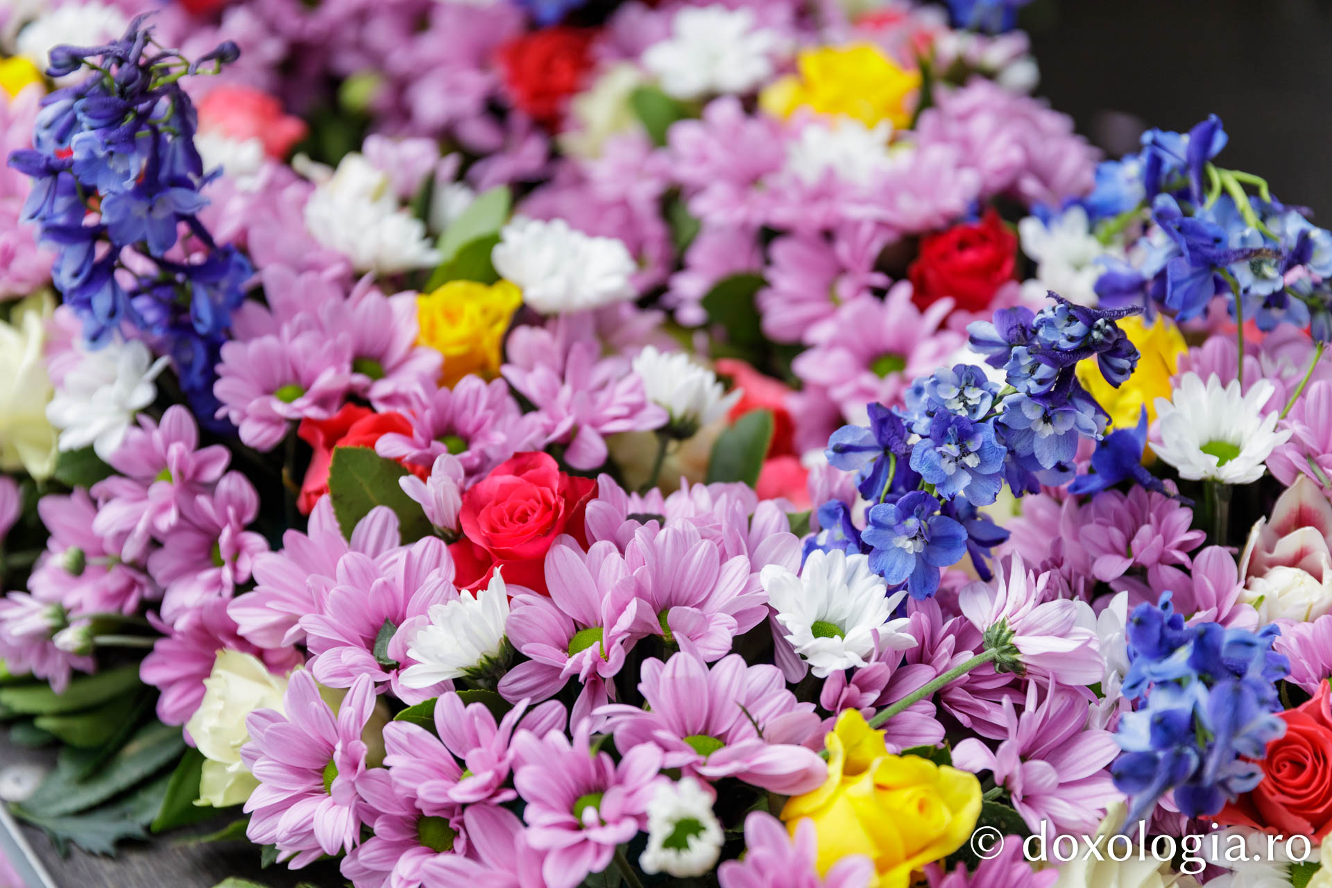 Împodobirea cu flori a baldachinului Sfintei Cuvioasei Parascheva
