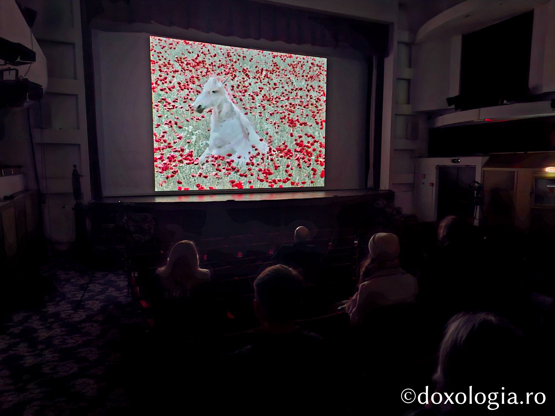 Proiecția filmului artistic Copacul dorințelor (Georgia, regizor Tengiz Abuladze), Sala Ateneul Național din Iași