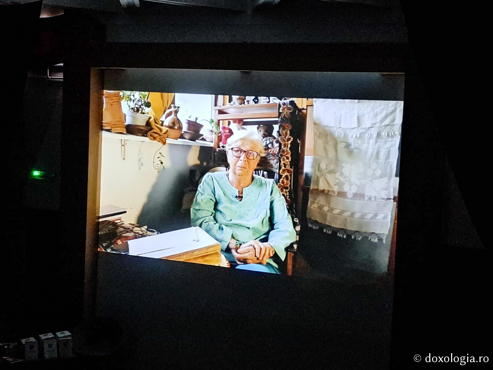 Proiecția filmului documentar Lemnul viu (România), în prezența regizoarei Cristina Chirvasie