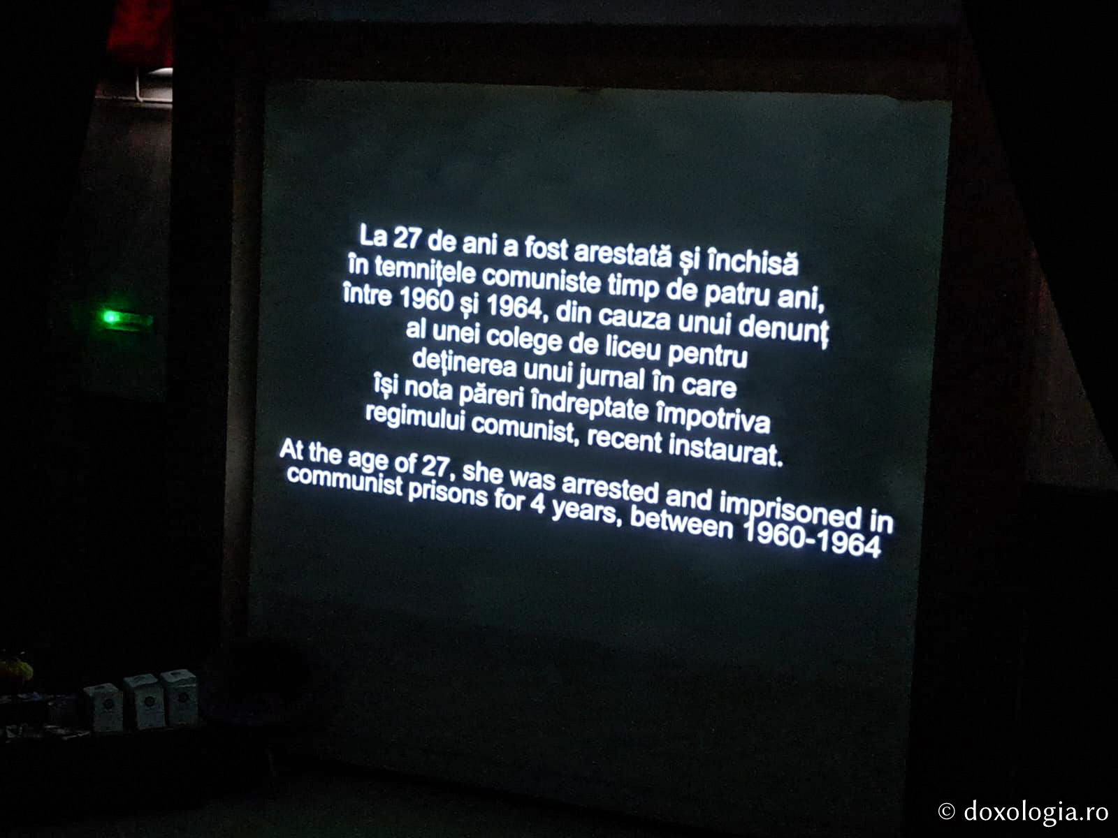 Proiecția filmului documentar Lemnul viu (România), în prezența regizoarei Cristina Chirvasie