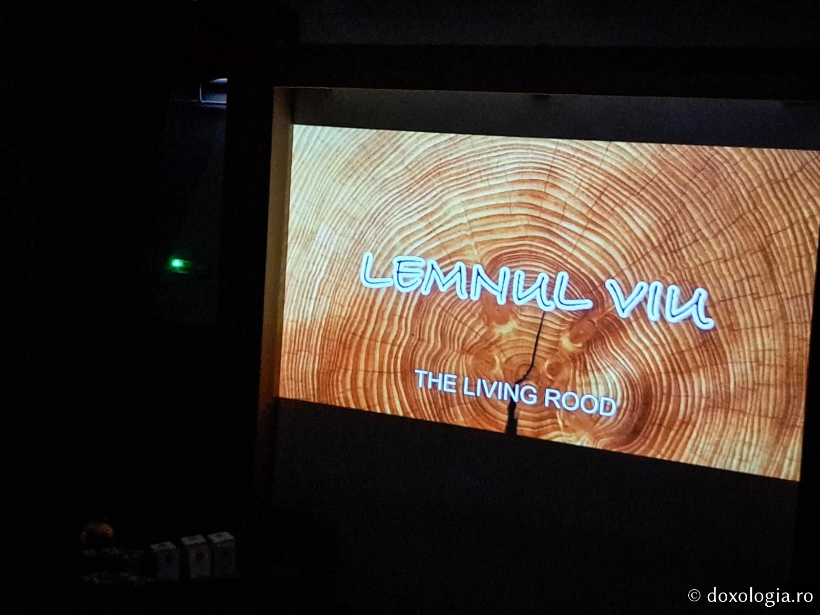 Proiecția filmului documentar Lemnul viu (România), în prezența regizoarei Cristina Chirvasie