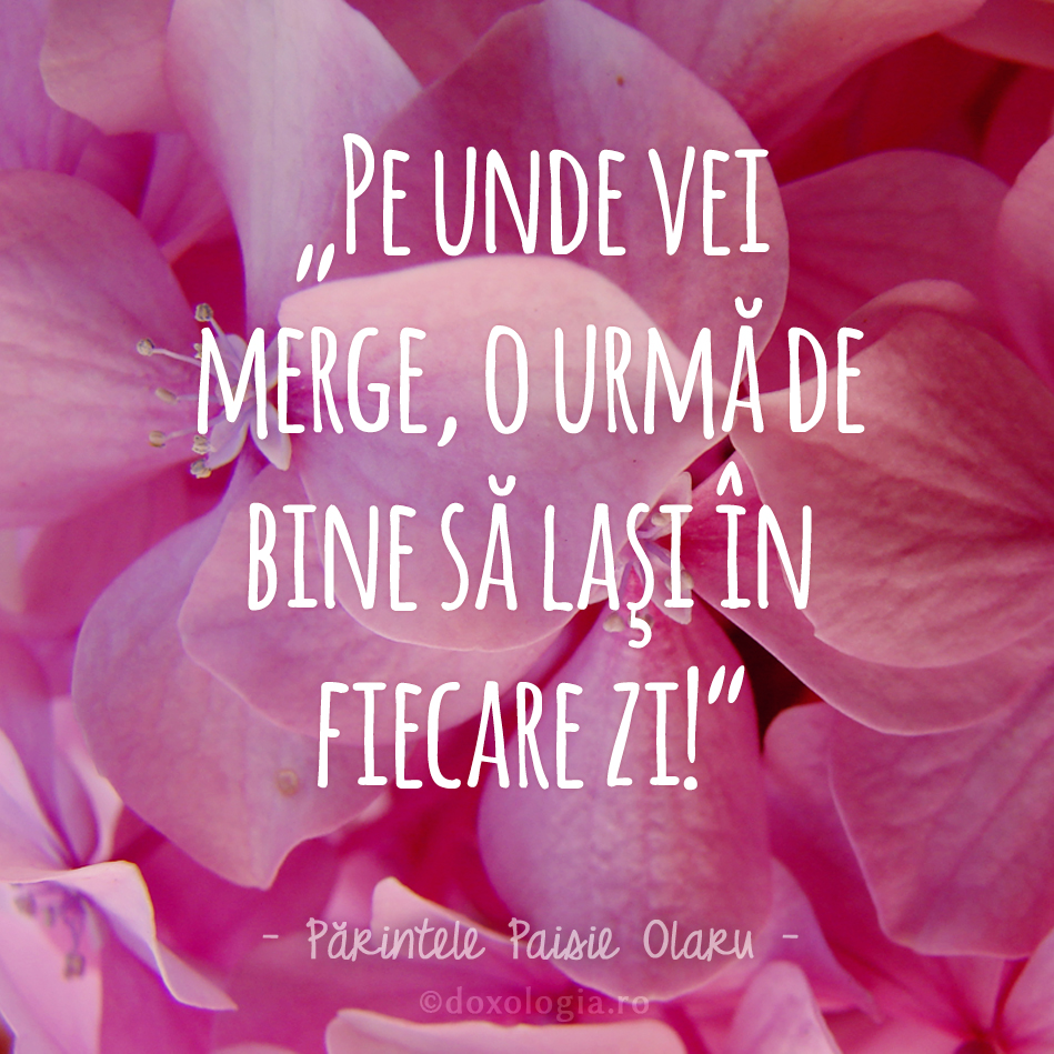 Pe unde vei merge, o urmă de bine să lași în fiecare zi!