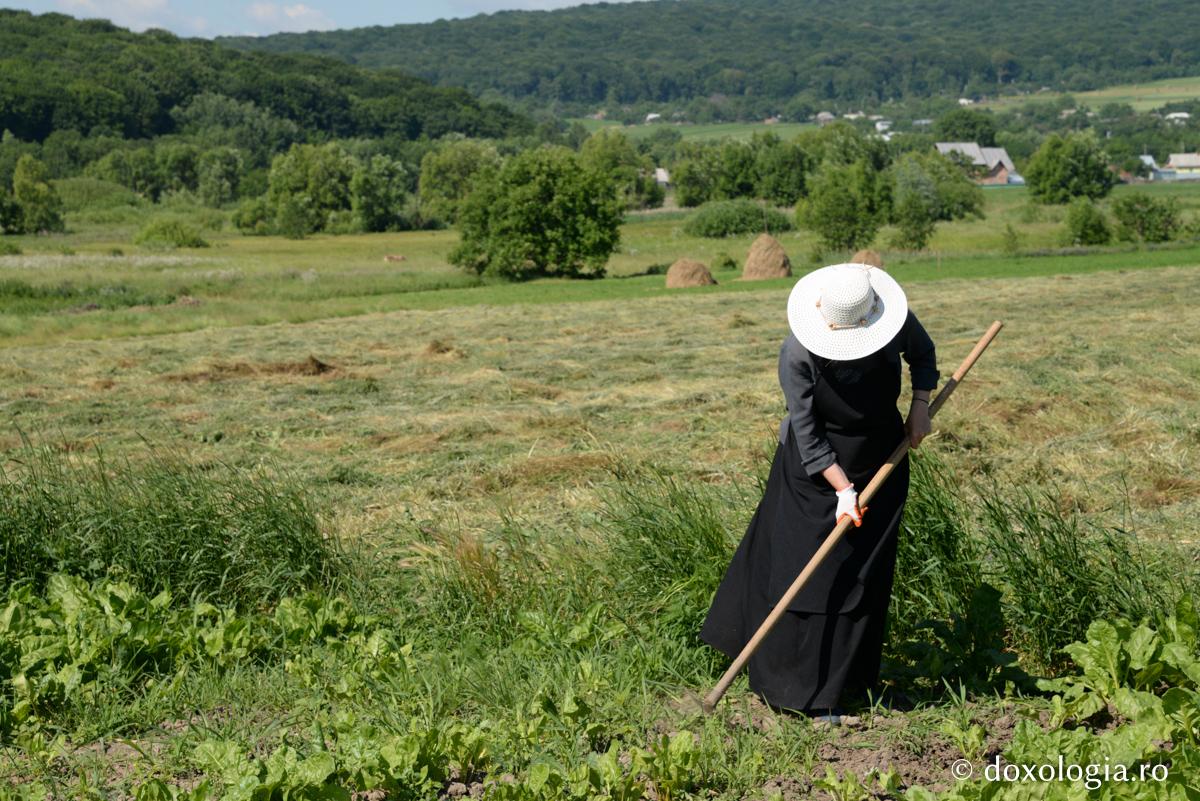 Vrednicia nu se măsoară după dar, ci după lucrarea ei  / Foto: Ștefan Cojocariu seceriș