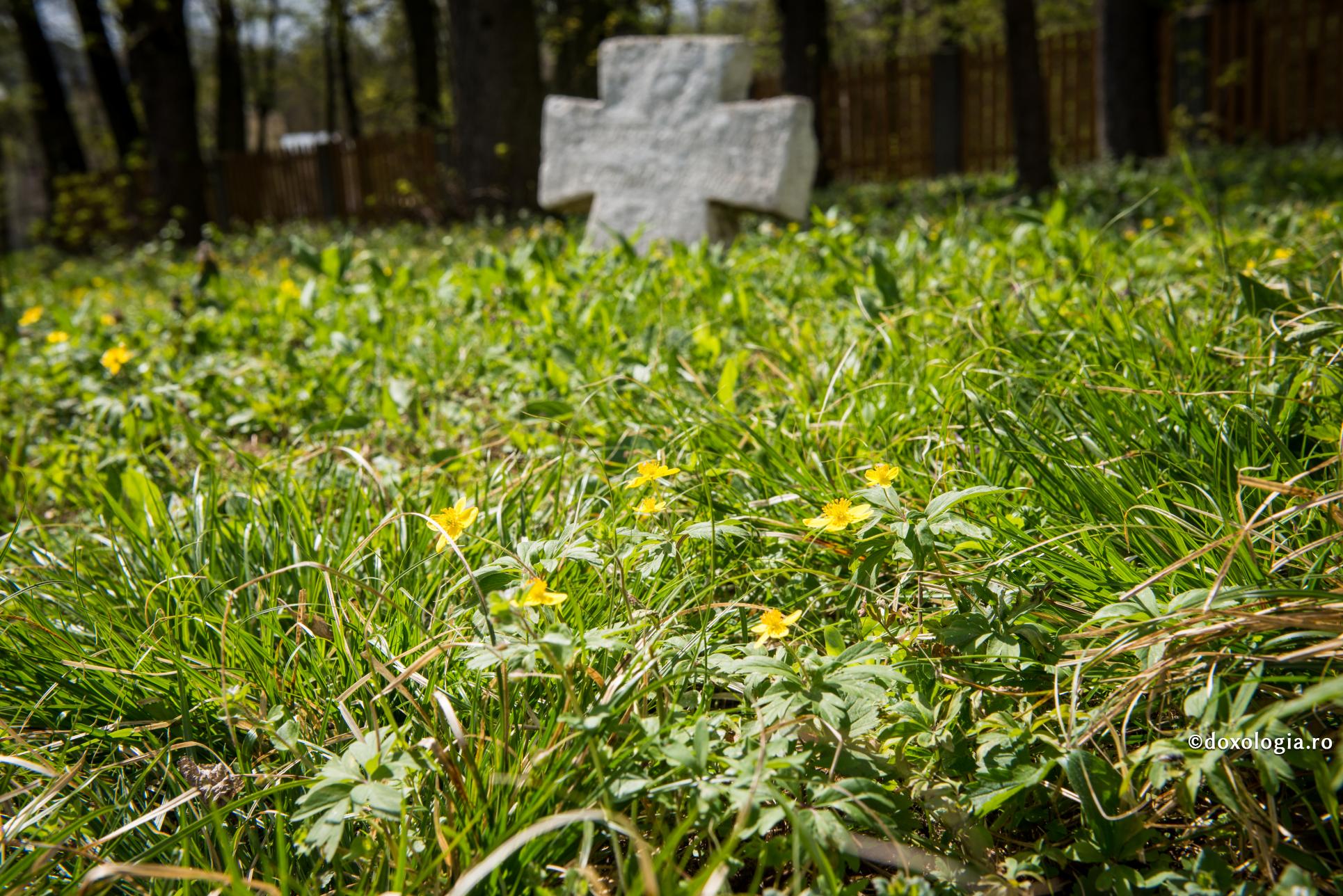 cruce de piatra in iarba
