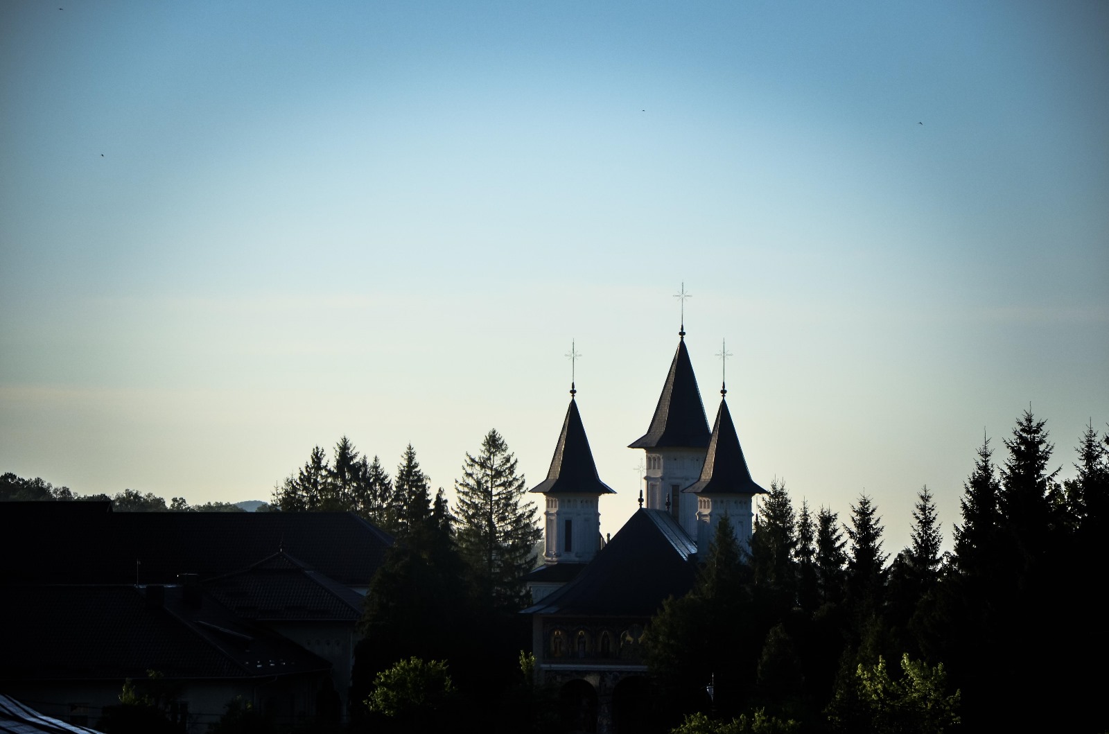 Seminarul Teologic Ortodox „Veniamin Costachi” de la Mănăstirea Neamţ Seminarul Teologic Veniamin