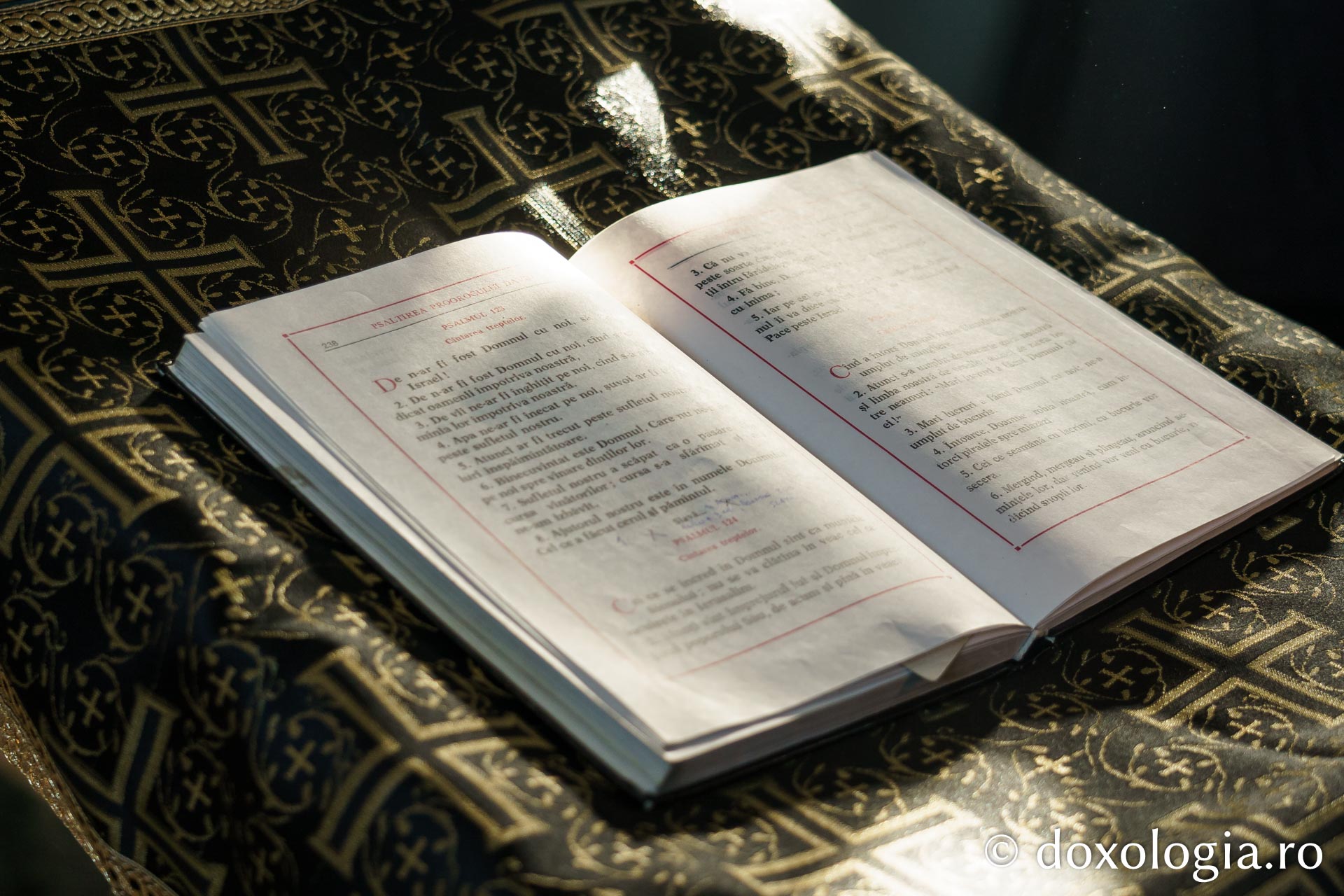 Binecuvântare arhierească la Parohia Boiștea: IPS Teofan a săvârșit Sfânta Liturghie și a sfințit noul ansamblu parohial