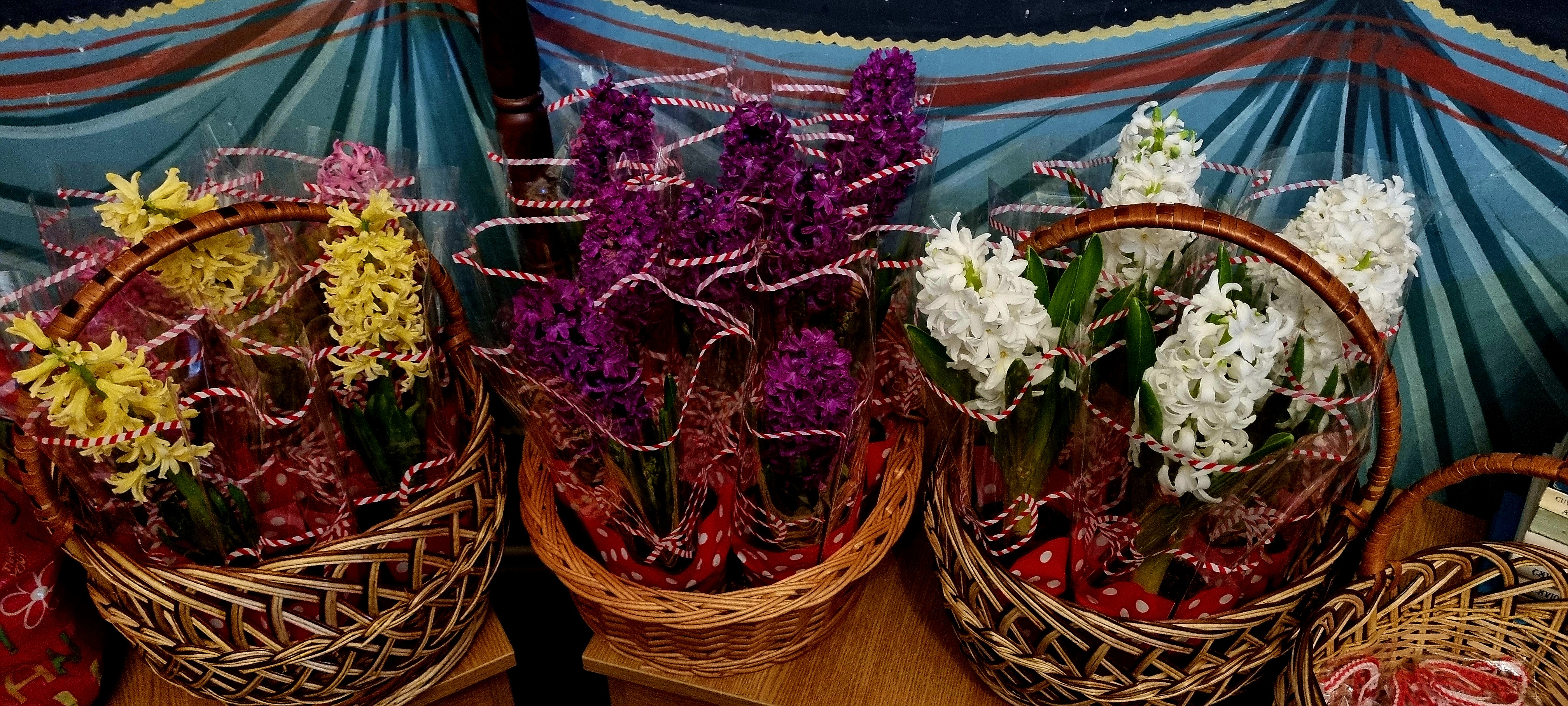 Ziua de 8 Martie, la Spitalul de Psihiatrie Pădureni-Grajduri