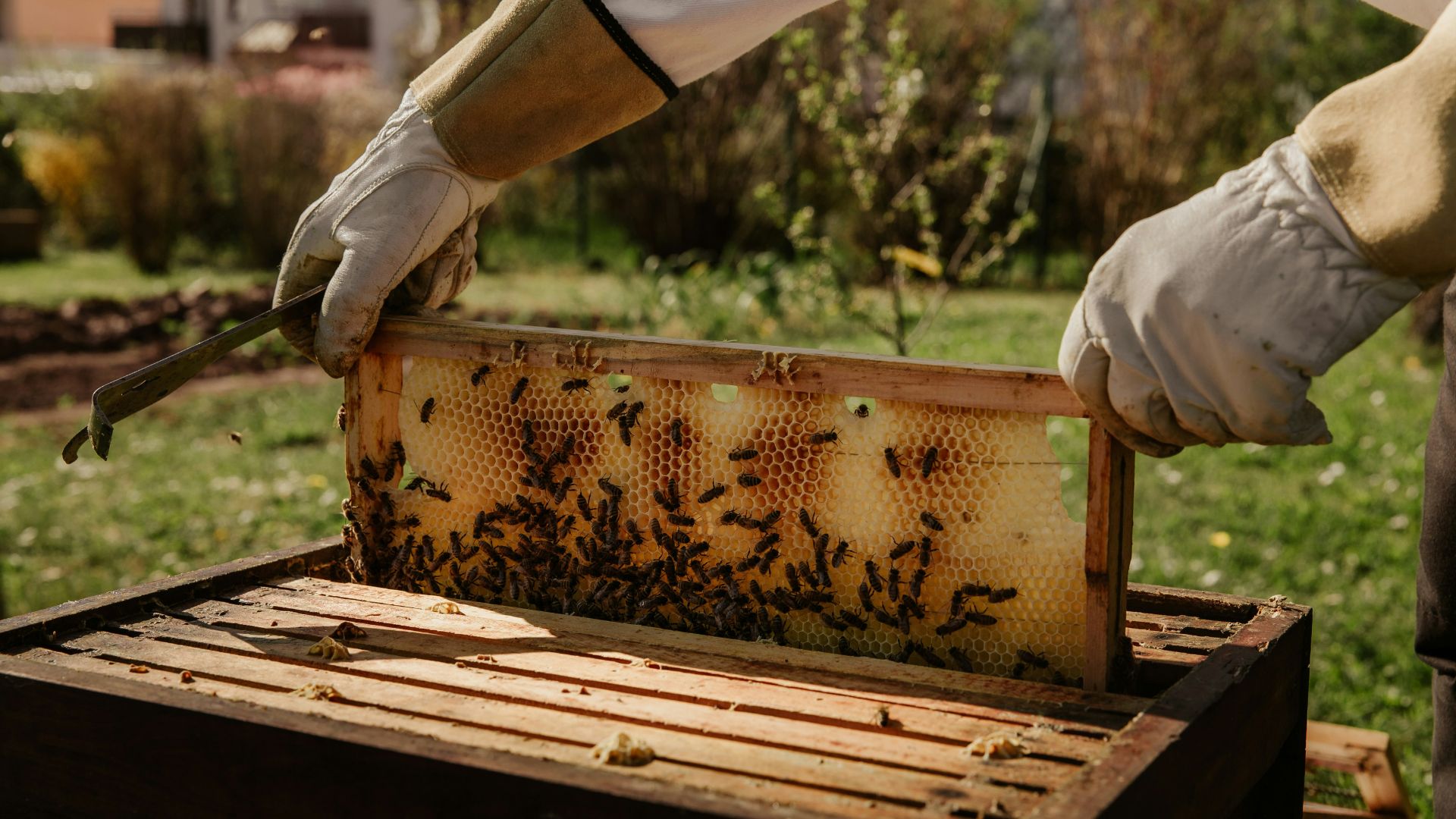 Băutura neștiută pe care o consumă călugării în prima prima săptămână a Postului Mare / Foto: unsplash.com Băutura neștiută pe care o consumă călugării în prima prima săptămână a Postului Mare