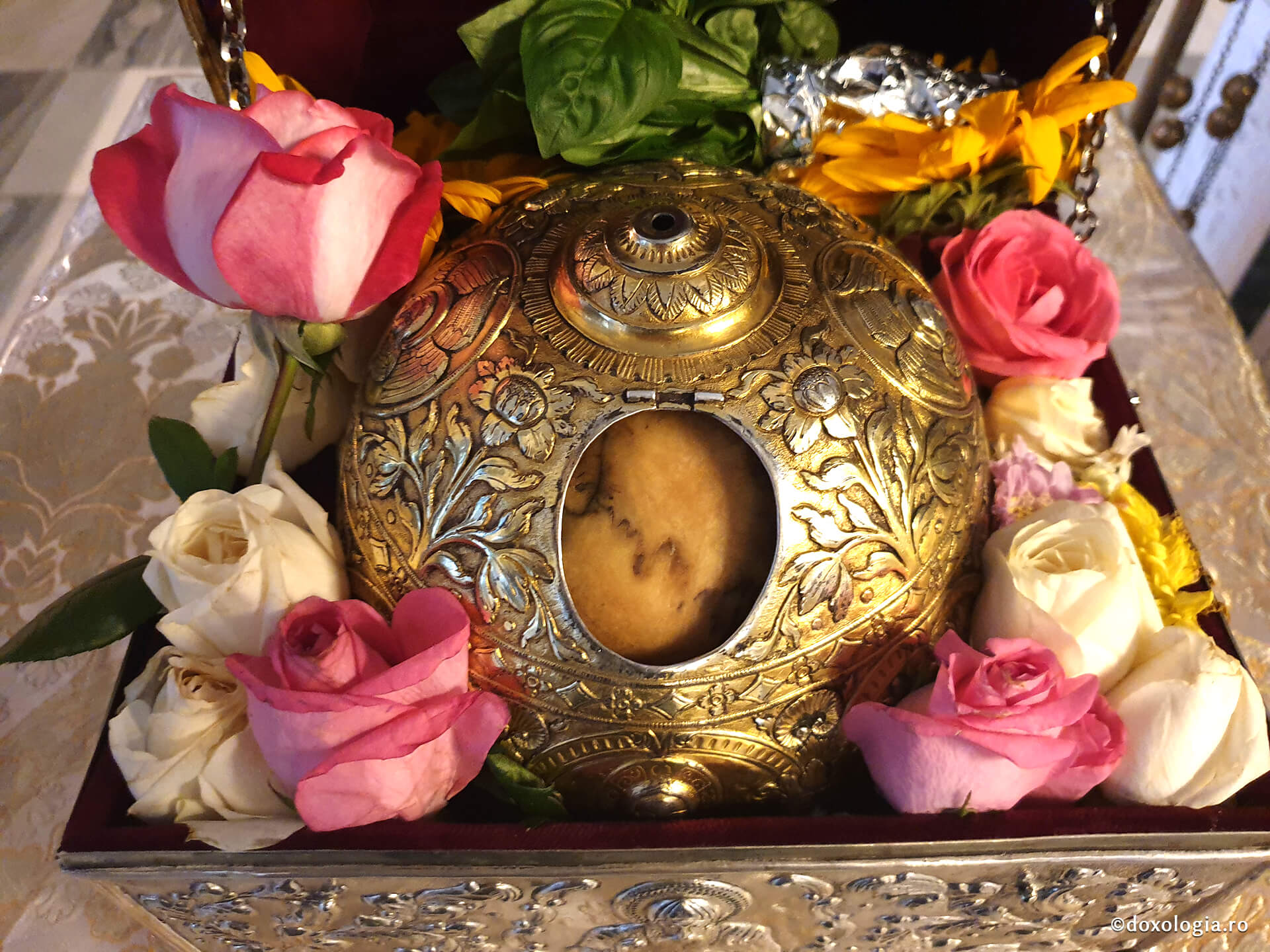 Sfântul Cuvios David din Evia