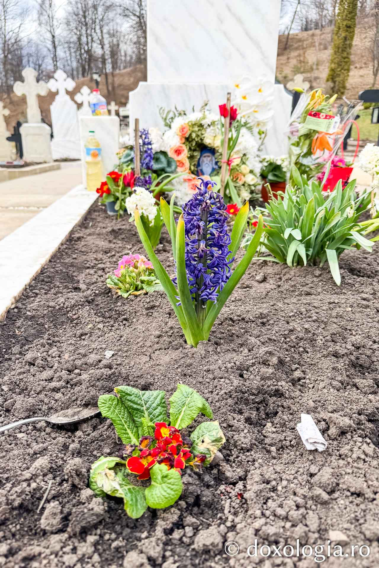 Cum am aprins 149 de candele în cimitirul Sihăstriei și un adevăr cutremurător: „Viața noastră începe Dincolo, tată!”