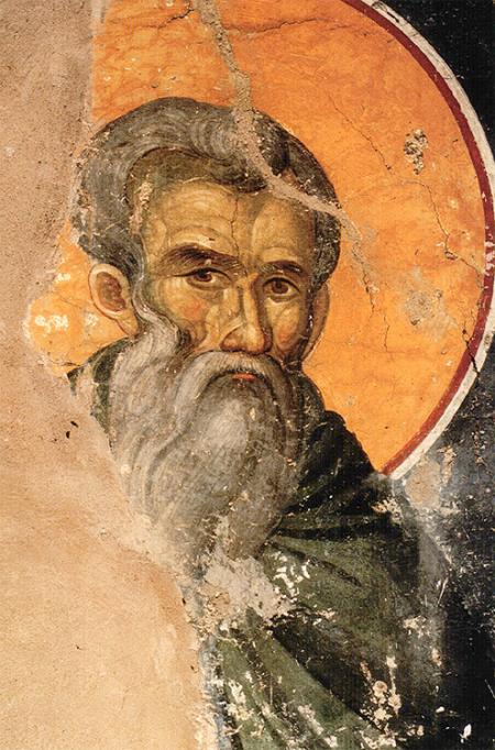 Sfântul Cuvios Teoctist din Palestina