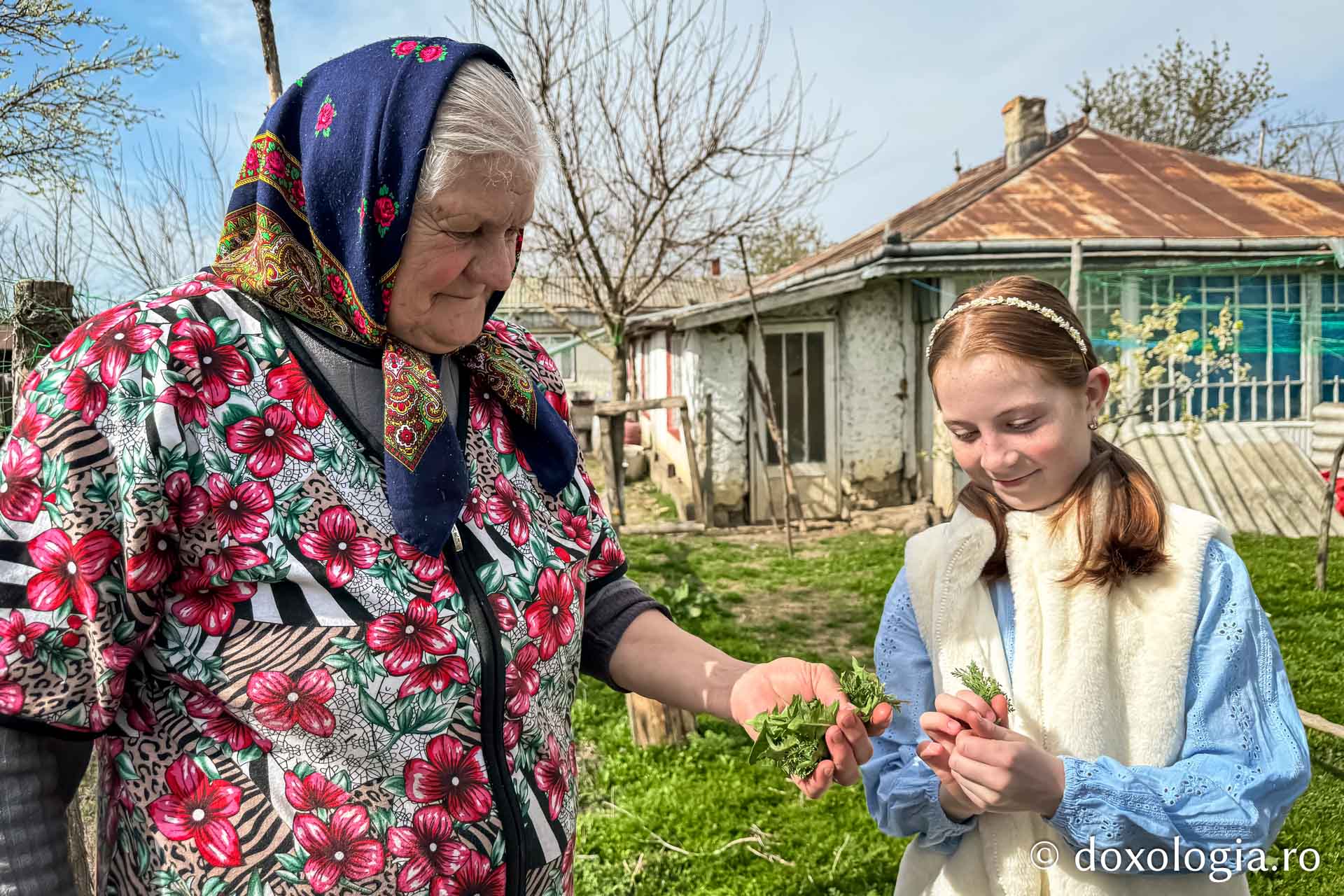 Cu oameni ca bunica Elena, tradițiile nu mor niciodată: cum am făcut ouă roșii, alături de ea, după o tradiție străveche