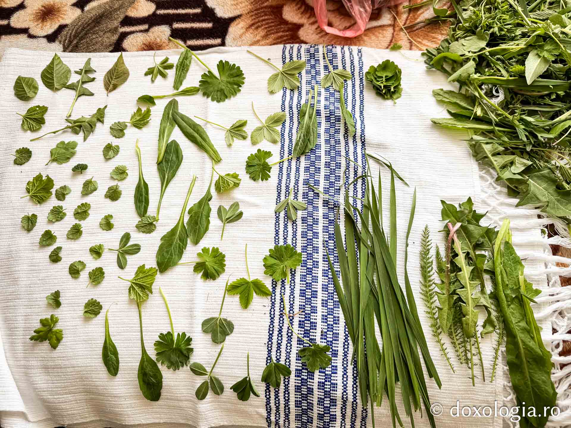 Cu oameni ca bunica Elena, tradițiile nu mor niciodată: cum am făcut ouă roșii, alături de ea, după o tradiție străveche