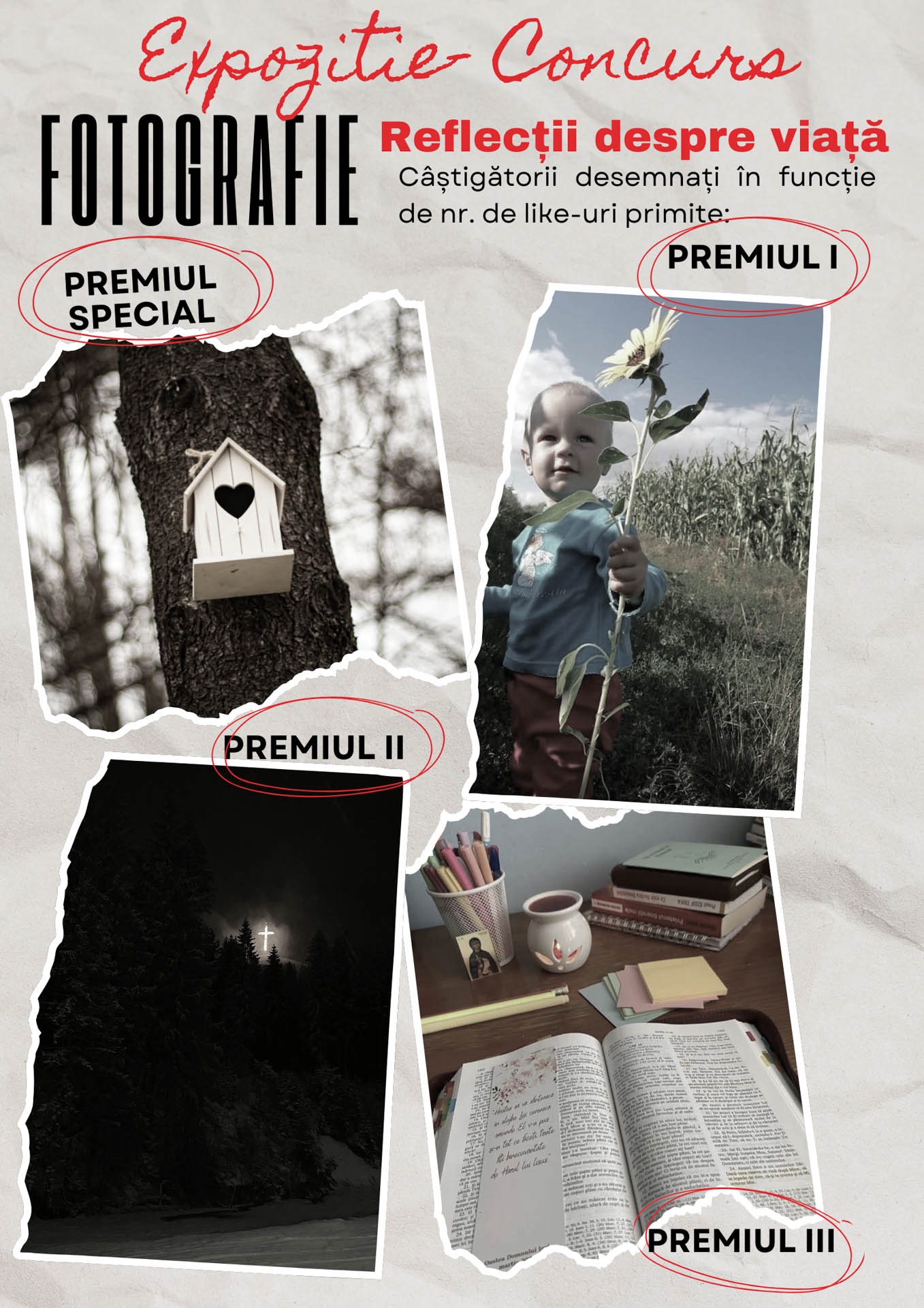 Expoziția-concurs de fotografie „Reflecții despre viață” atrage atenția asupra frumuseții și fragilității vieții Expoziția-concurs de fotografie „Reflecții despre viață” atrage atenția asupra frumuseții și fragilității vieții