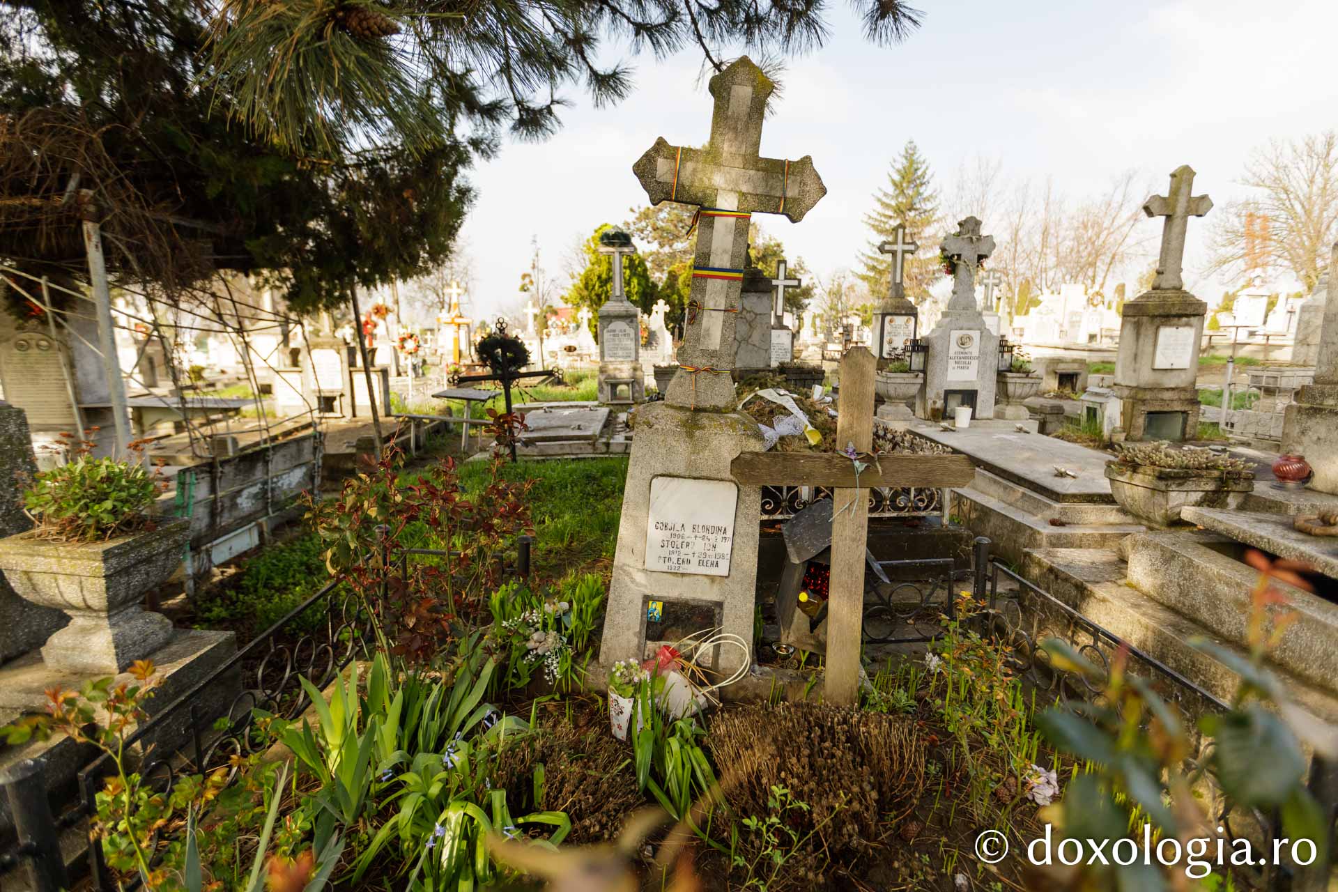 Mormântul Mamei Blondina Gobjilă
