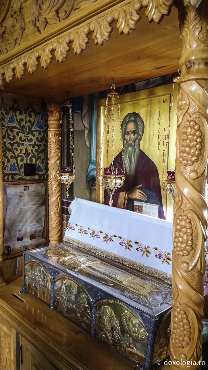 Moaștele Sfântului Cuvios Antonie de la Iezerul Vâlcii Moaștele Sfântului Cuvios Antonie de la Iezerul Vâlcii