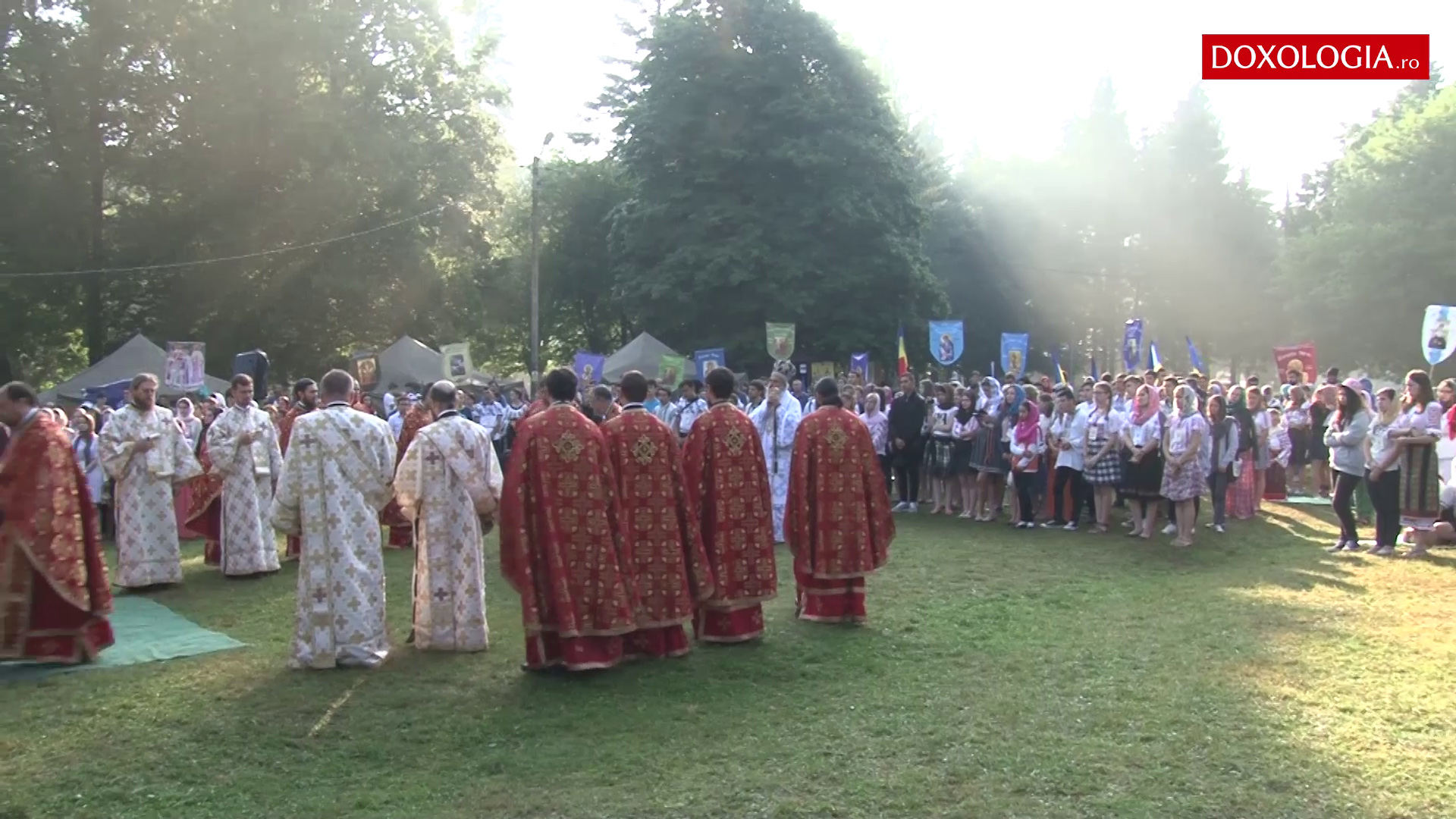 Tabăra de la Nemțișor, 2015