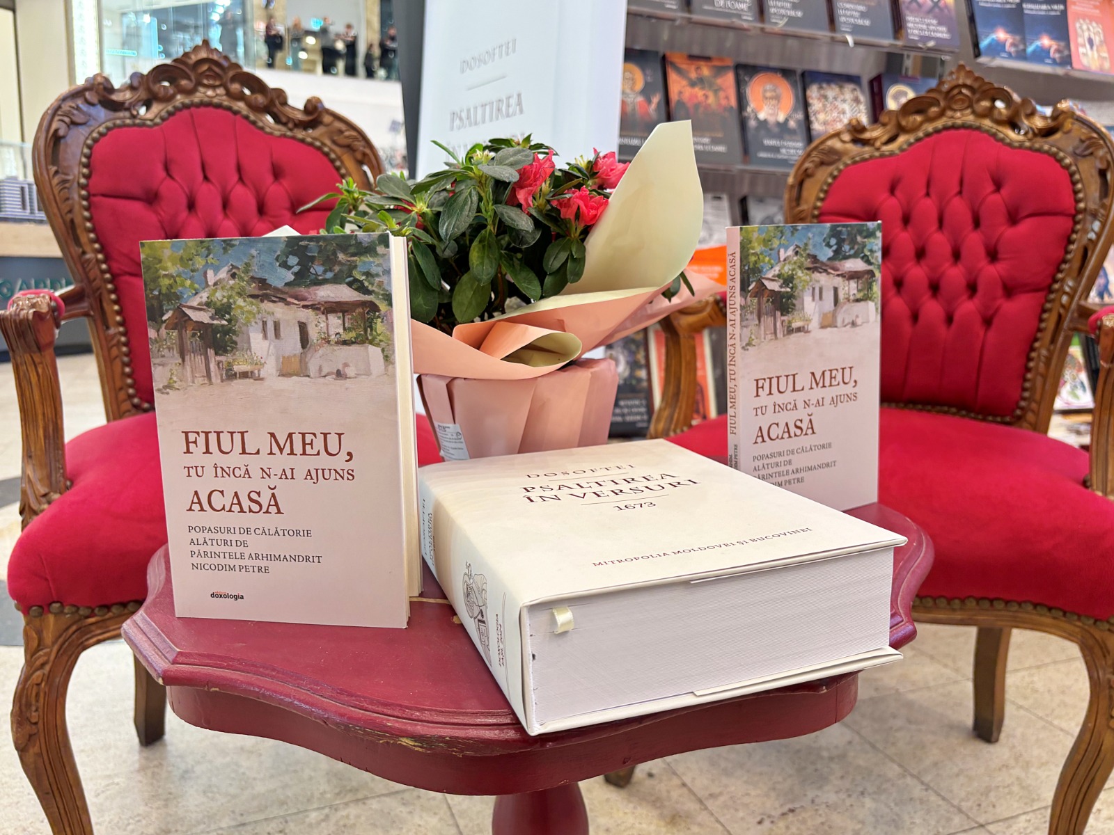 Cartea „Fiul Meu, tu încă n-ai ajuns acasă”, lansată în cadrul LIBREX 2025