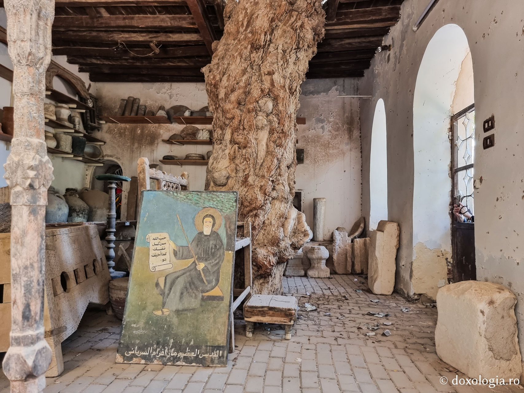 Copacul Sfântului Cuvios Efrem Sirul