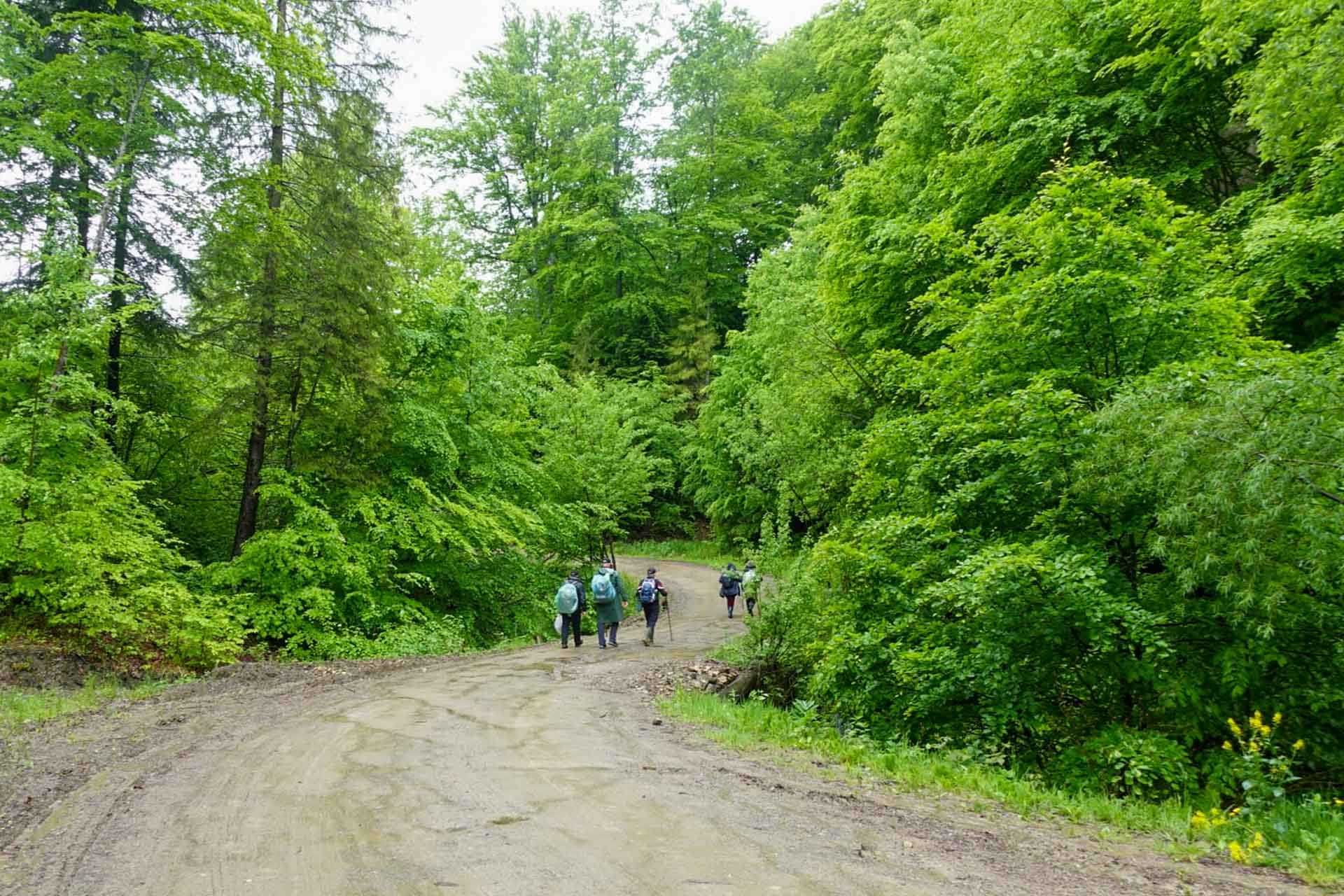 Cu Hristos pe poteci de munte - Pelerinajul la hramul „Înălțarea Domnului” al Mănăstirii Neamț