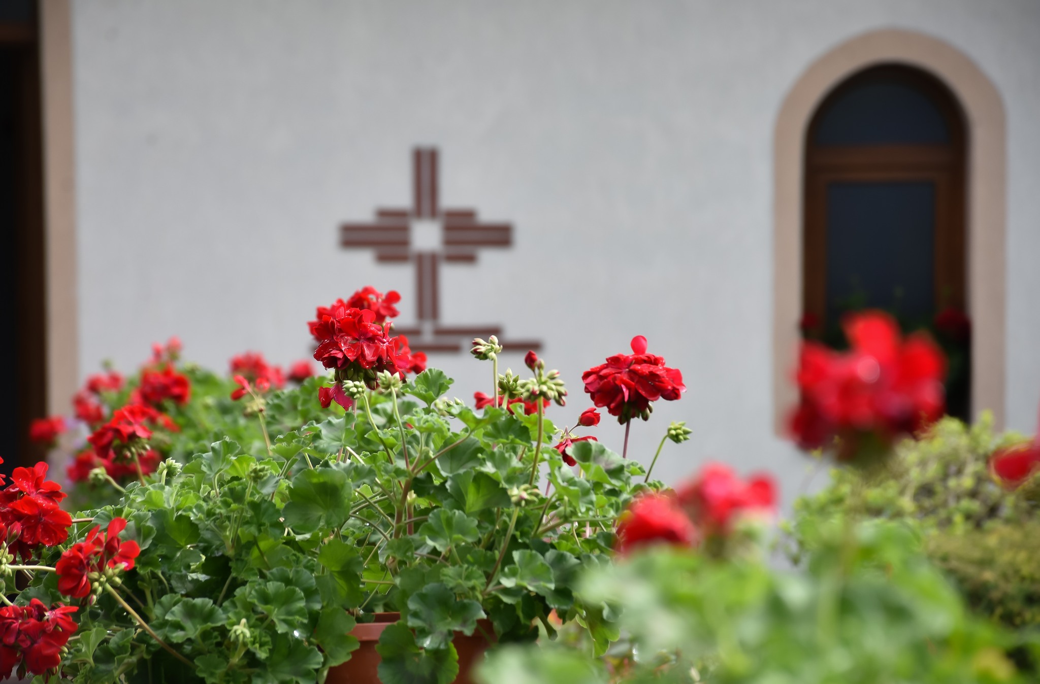 Scurt istoric al Mănăstirii „Sfânta Elisabeta” din Cluj-Napoca