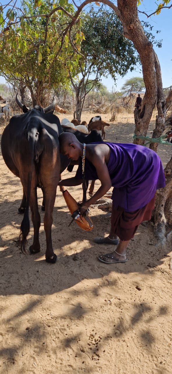 Aducțiuni de apă în satele Ipwasi și Mbumi