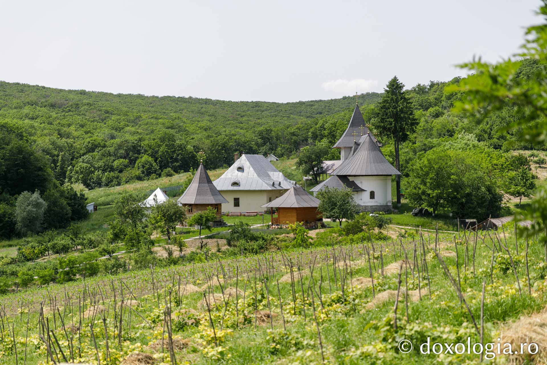 Mănăstirea Cozancea / Foto: pr. Silviu Cluci Mănăstirea Cozancea