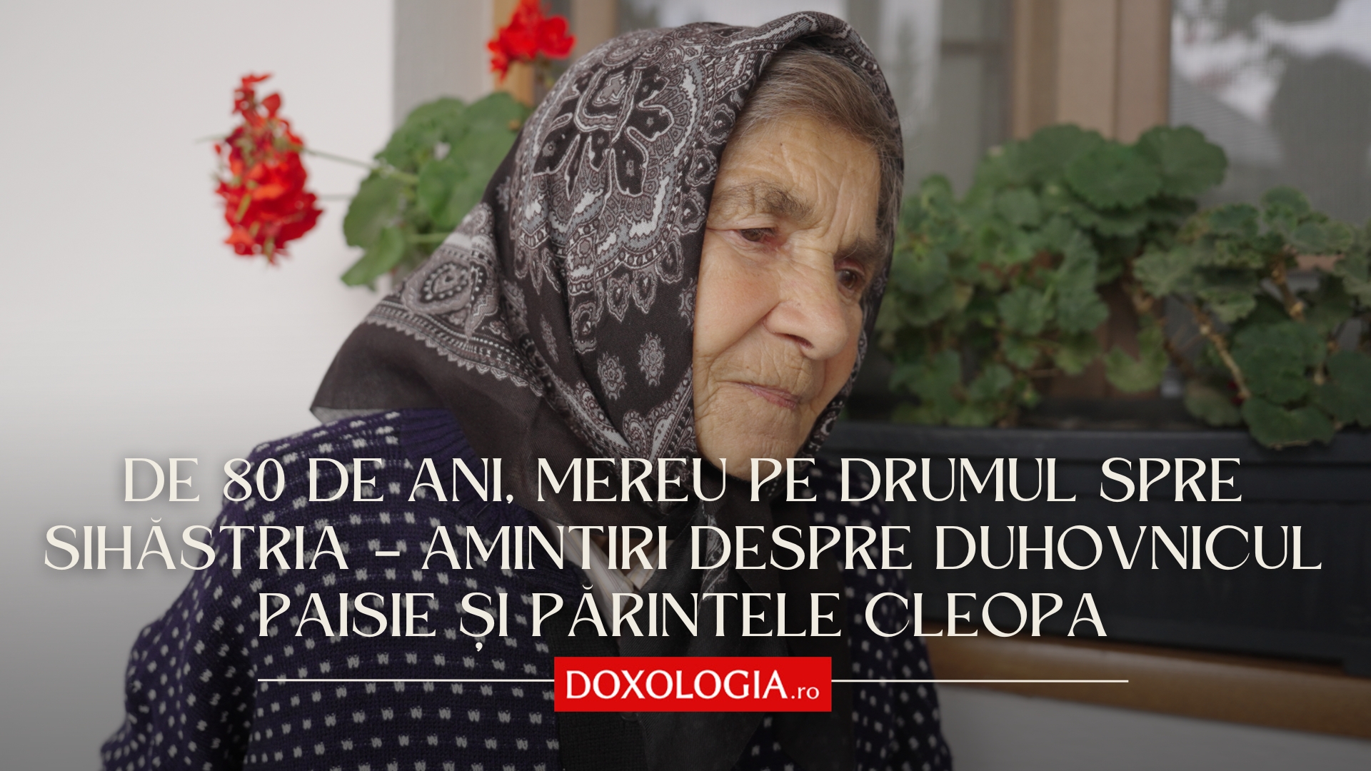 (Video) De 80 de ani, mereu pe drumul spre Sihăstria – amintiri despre duhovnicul Paisie și părintele Cleopa