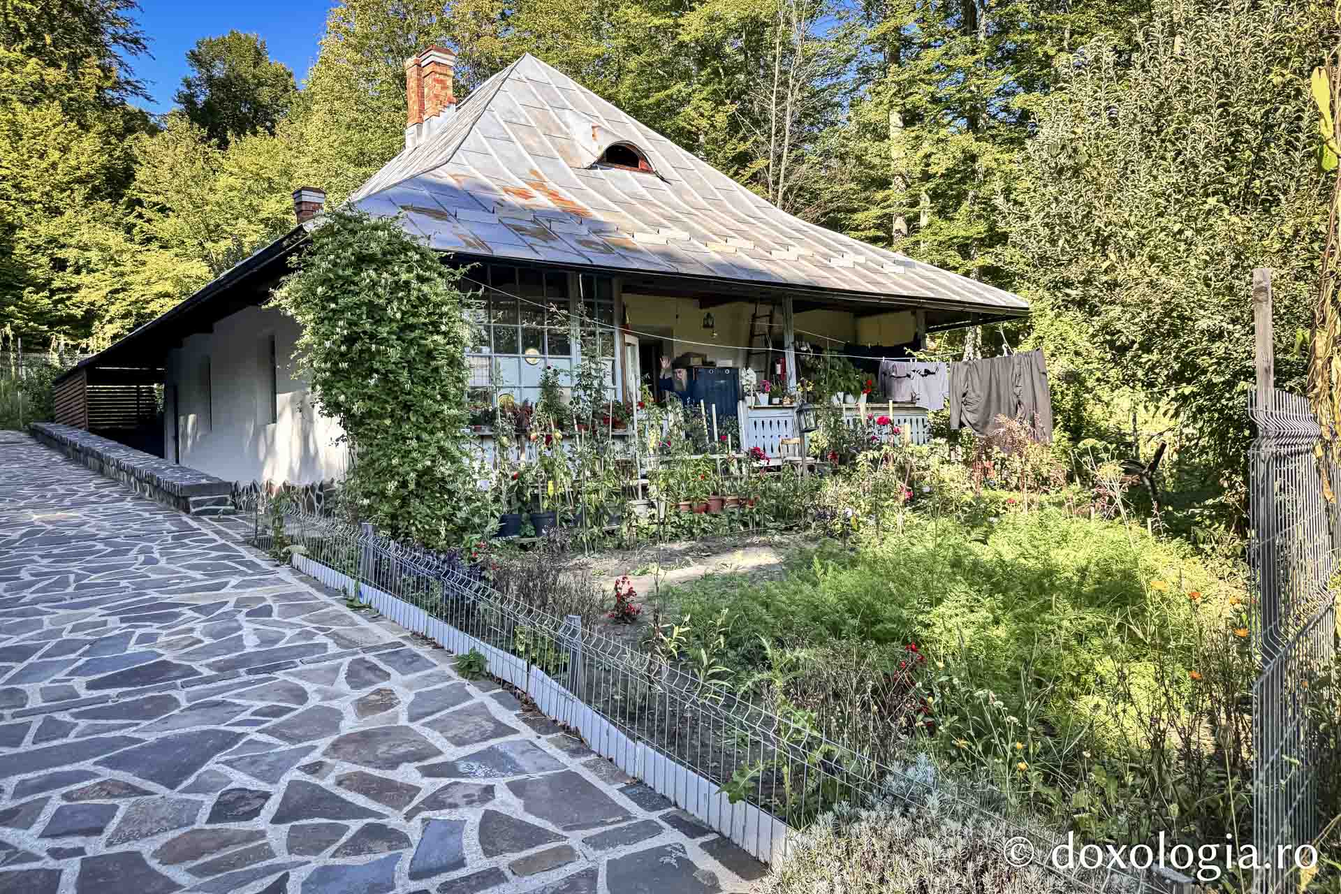 Cum am dat o tură de Rai sau despre Părintele Gavriil, grădinarul din dealul Sihăstriei