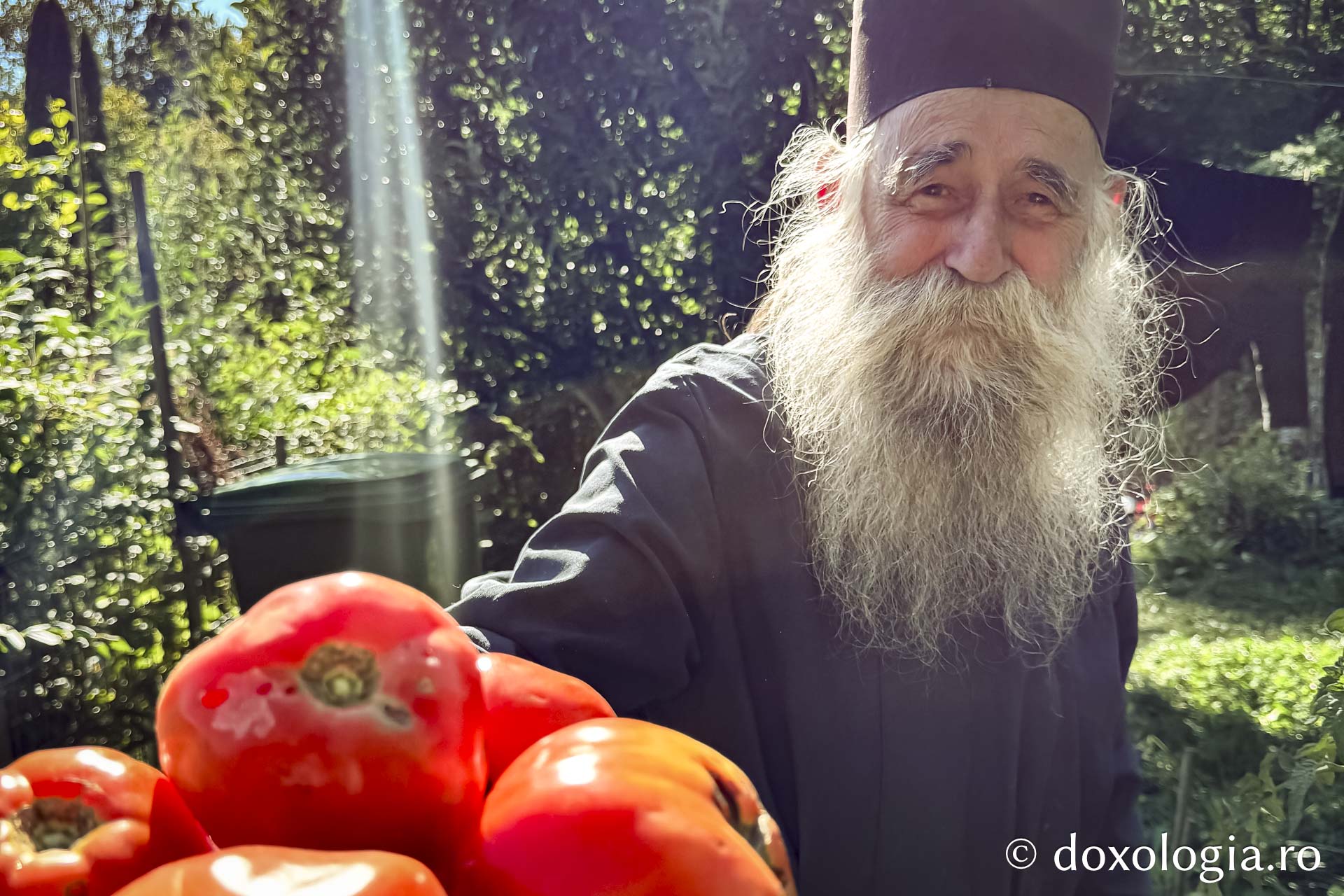 Cum am dat o tură de Rai sau despre Părintele Gavriil, grădinarul din dealul Sihăstriei