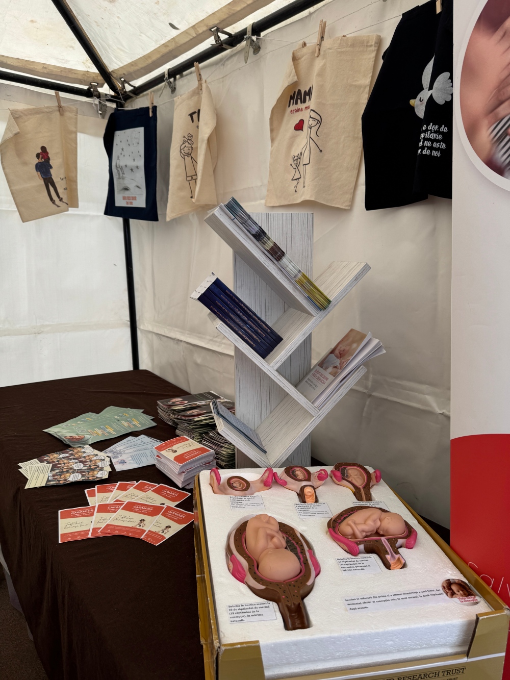 Punctul de informare Pro Vita Iași la Hramul Sfintei Parascheva