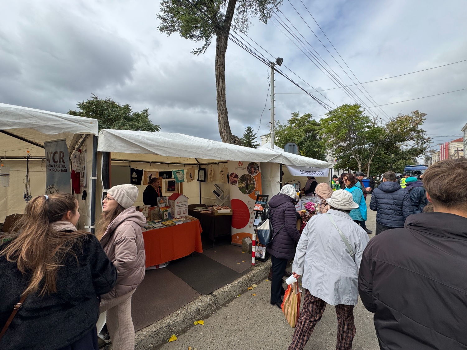 Punctul de informare Pro Vita Iași la Hramul Sfintei Parascheva