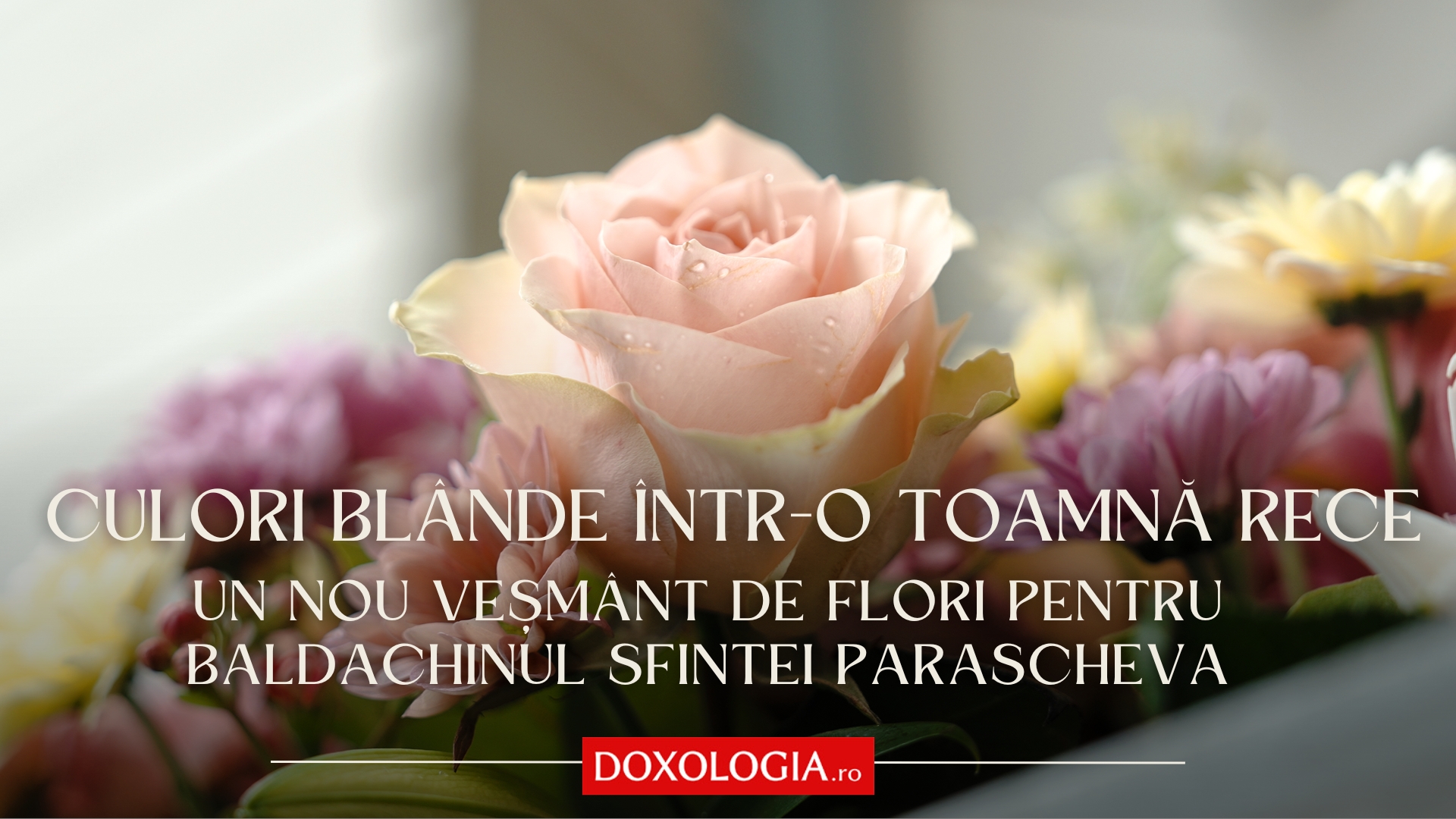 baldachin cuvioasa parascheva
