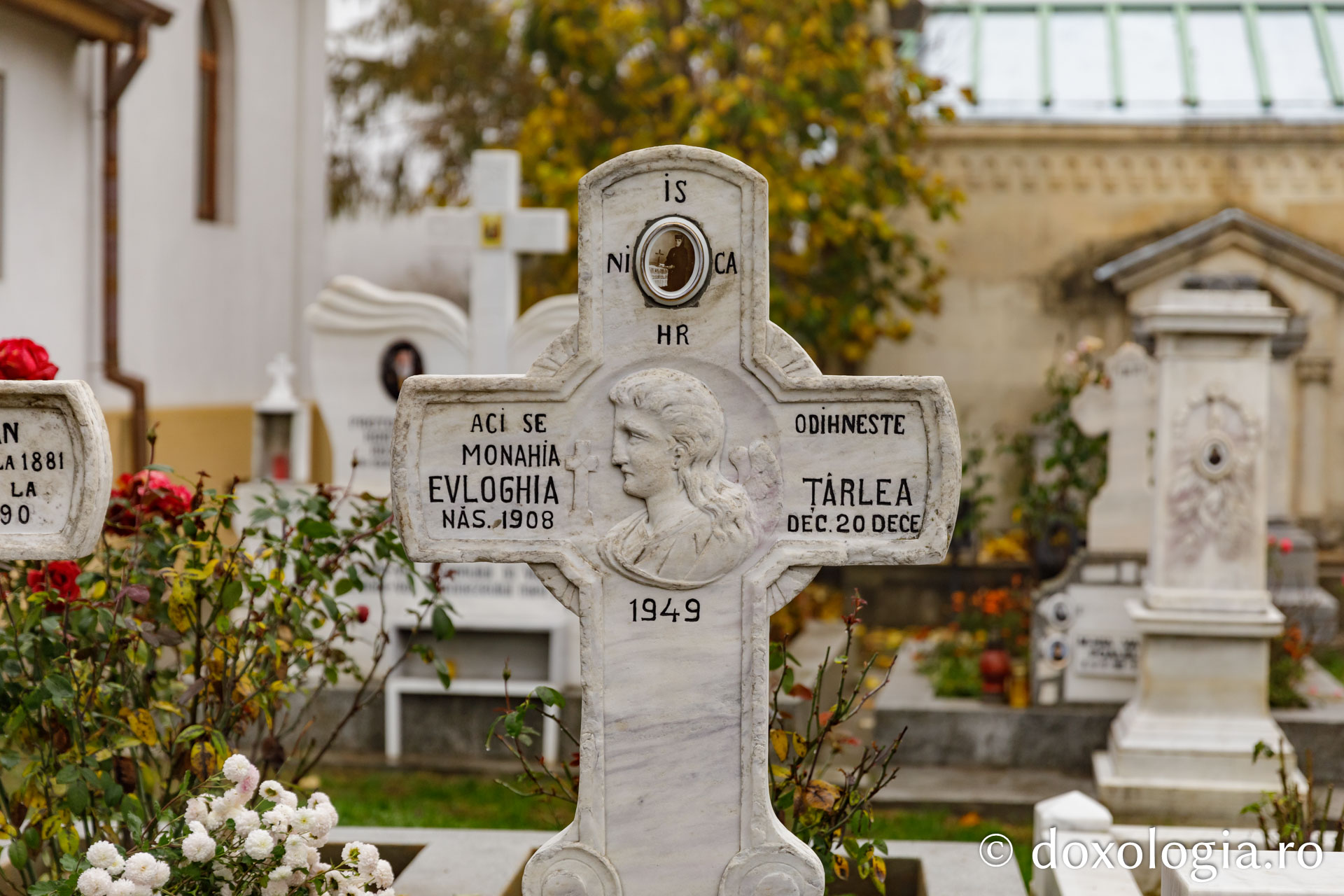 Sfânta Cuvioasă Muceniță Evloghia de la Samurcășești