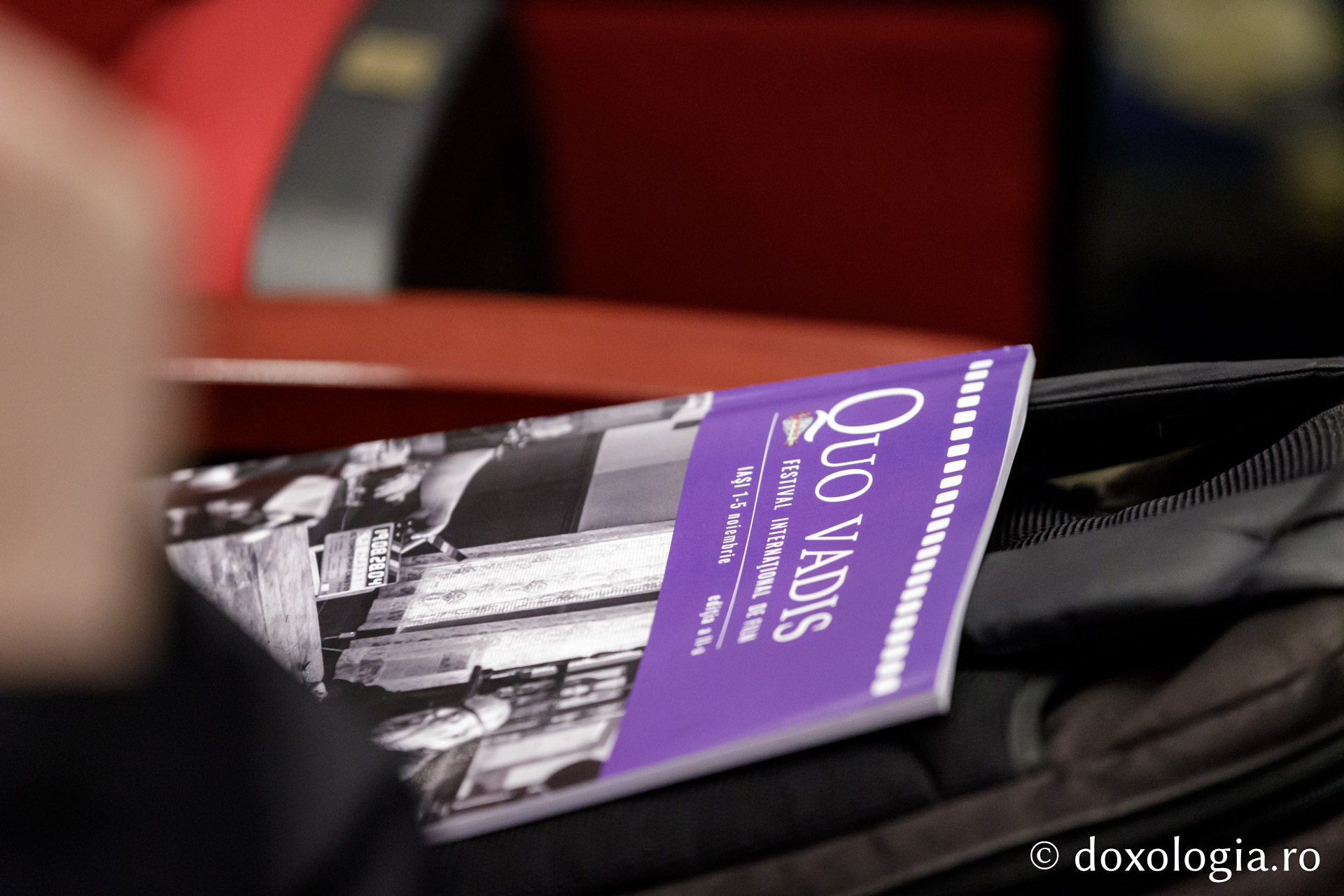 Festivalul Internațional de Film Quo Vadis, 2025 / Foto: Oana Nechifor