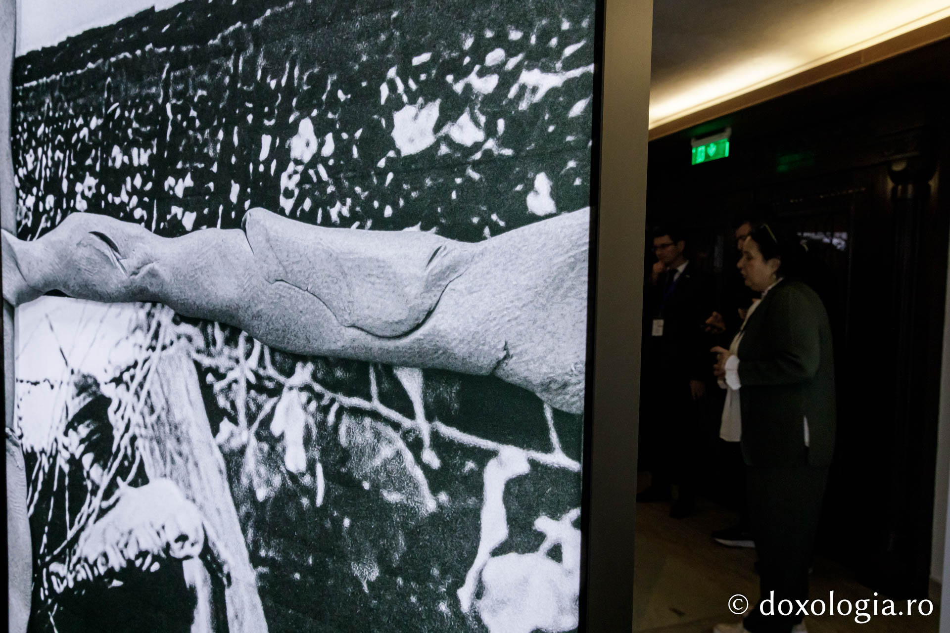 Vernisajul Expoziției de fotografii „Reîncadrând spațiul. Filmul ca istorie.”