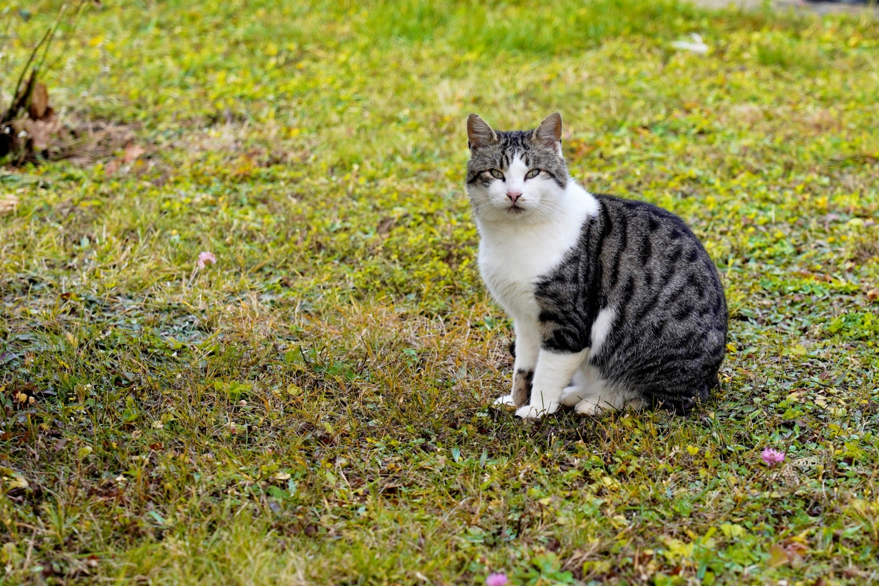 Arhimandritul Siluan Antoci, noul stareț al Mănăstirii Almaș: „Gândul meu este la un cuvânt al Sfântului Calinic de la Cernica: «N-am venit să mă odihnesc în ostenelile altora»”