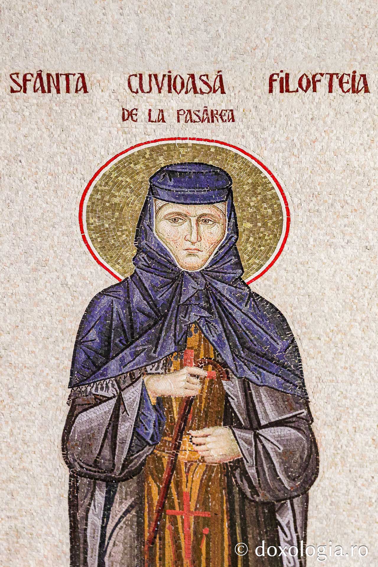 Sfânta Cuvioasă Filofteia de la Pasărea, mama Sfântului Ierarh Calinic de la Cernica