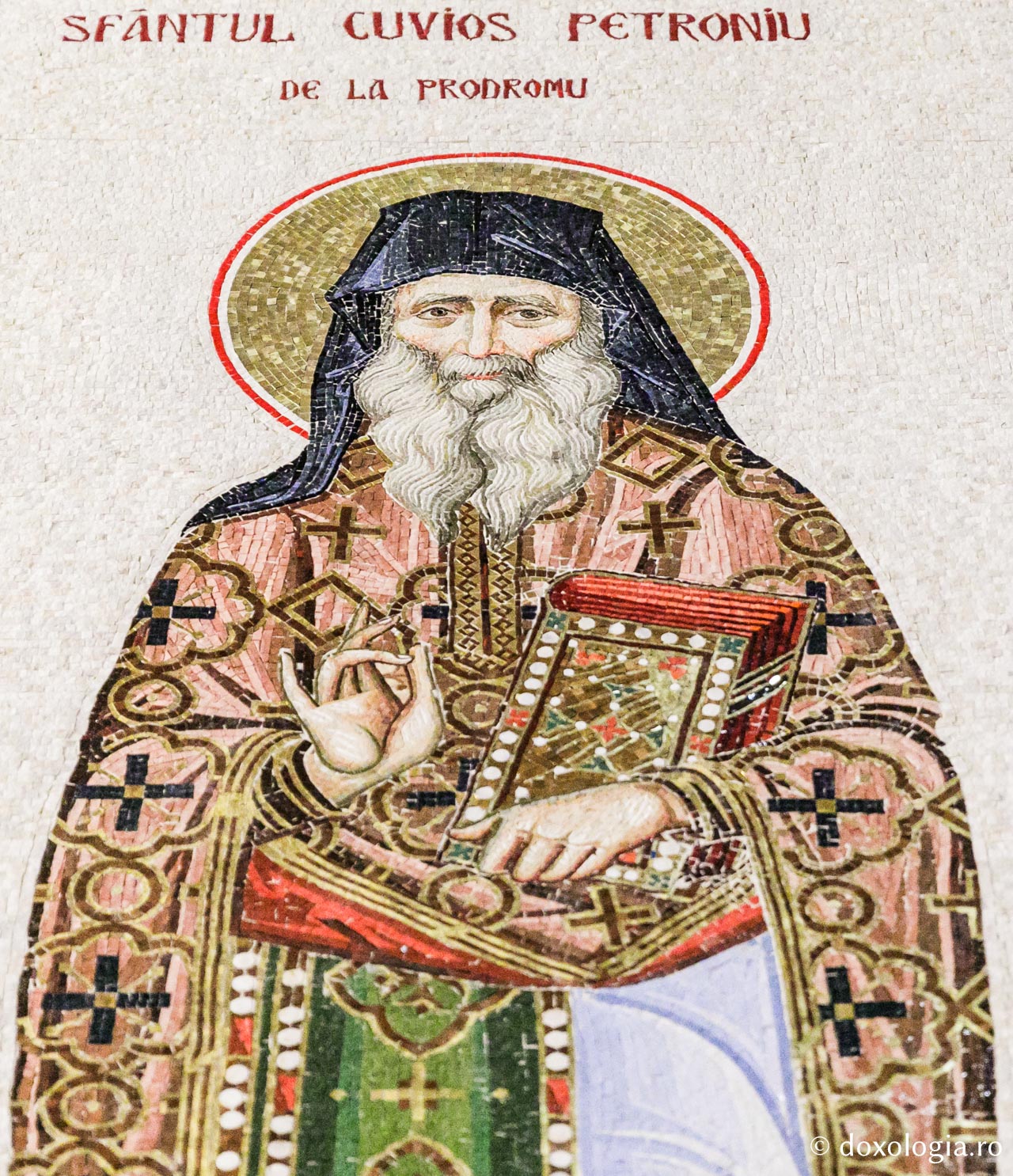 Sfântul Cuvios Petroniu de la Prodromu