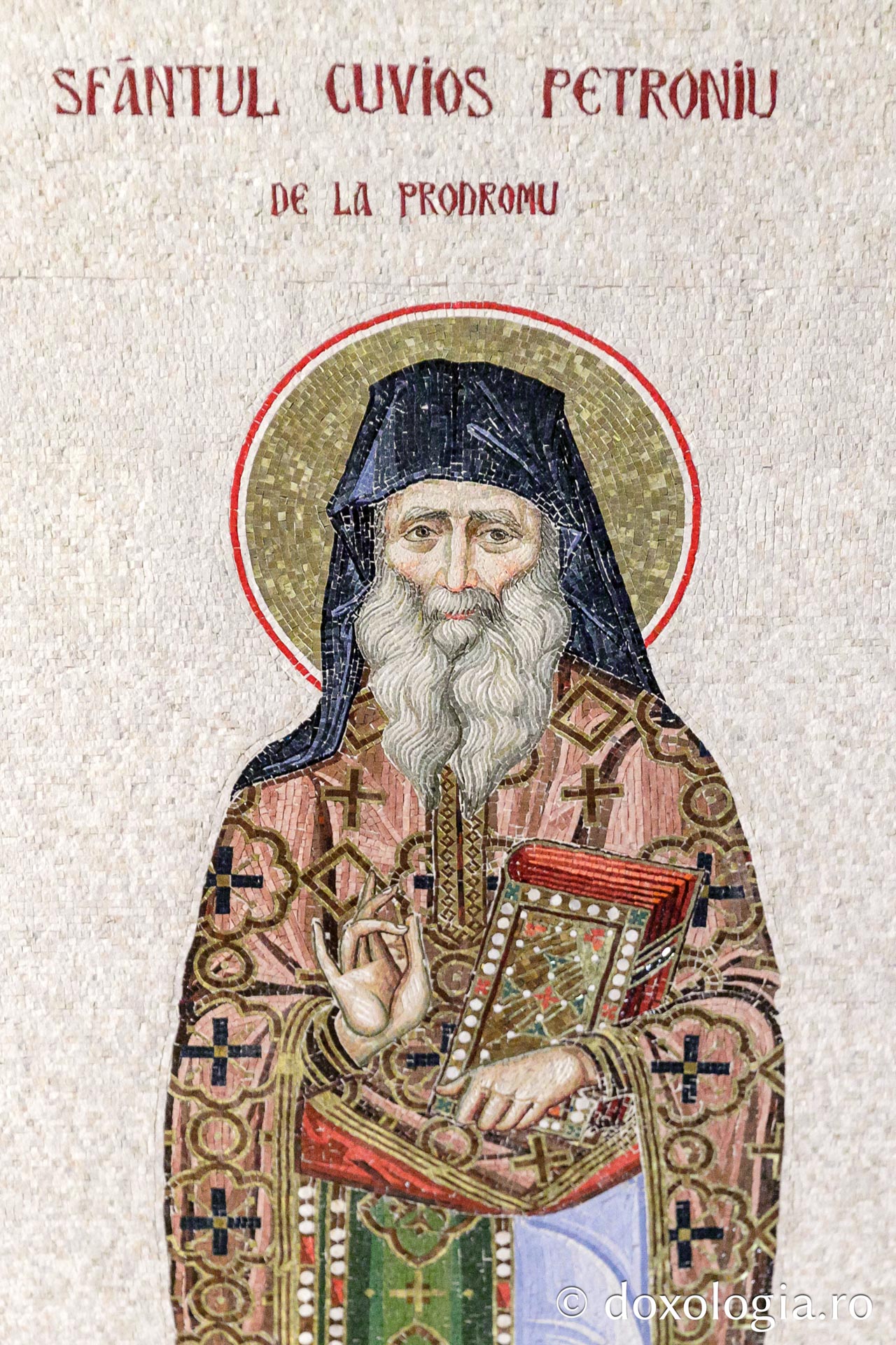 Sfântul Cuvios Petroniu de la Prodromu