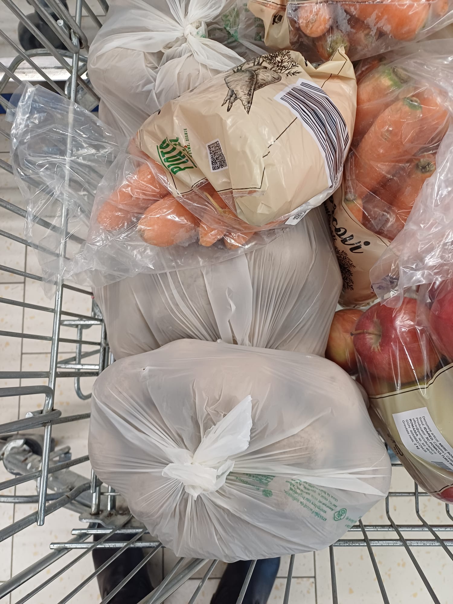 Seminariștii de la Neamț, în slujba binelui: Săptămâna fructelor și legumelor donate, o liturghie a generozității