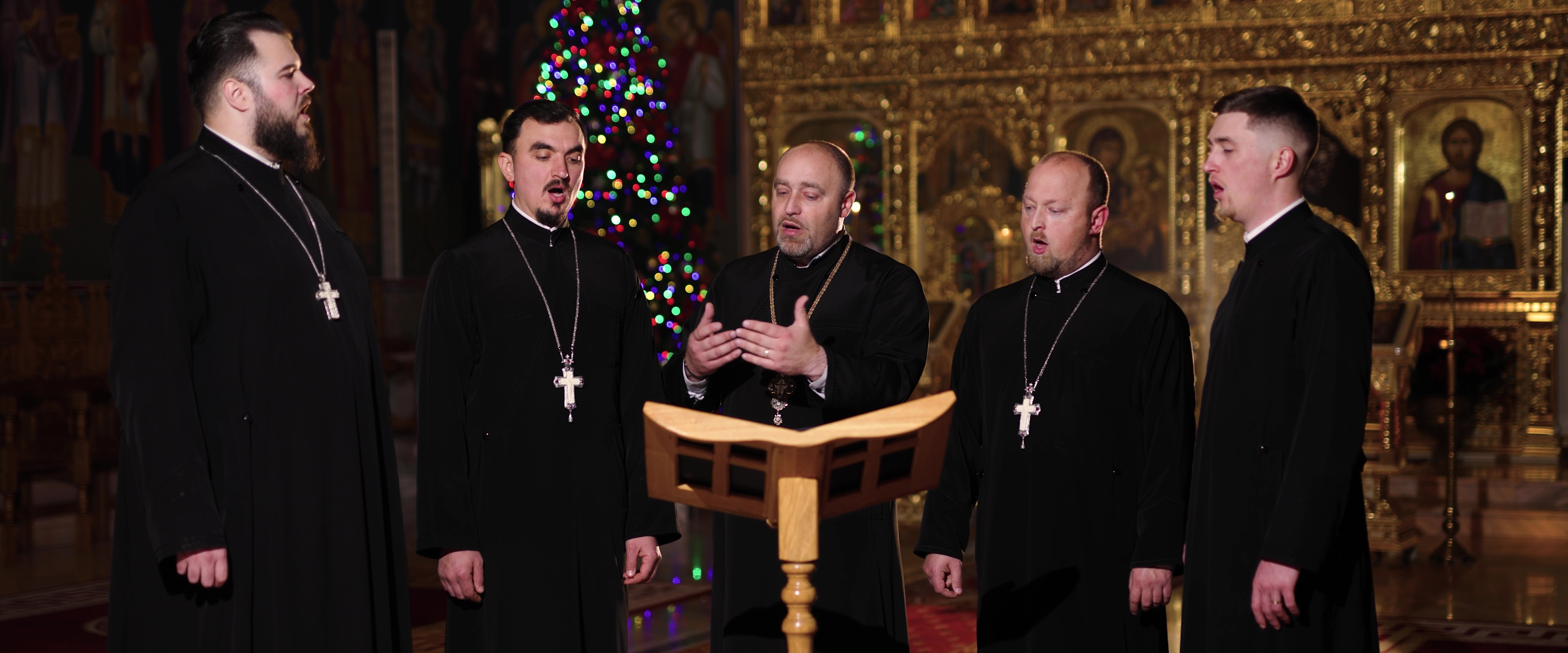 in isele rece s-a nascut