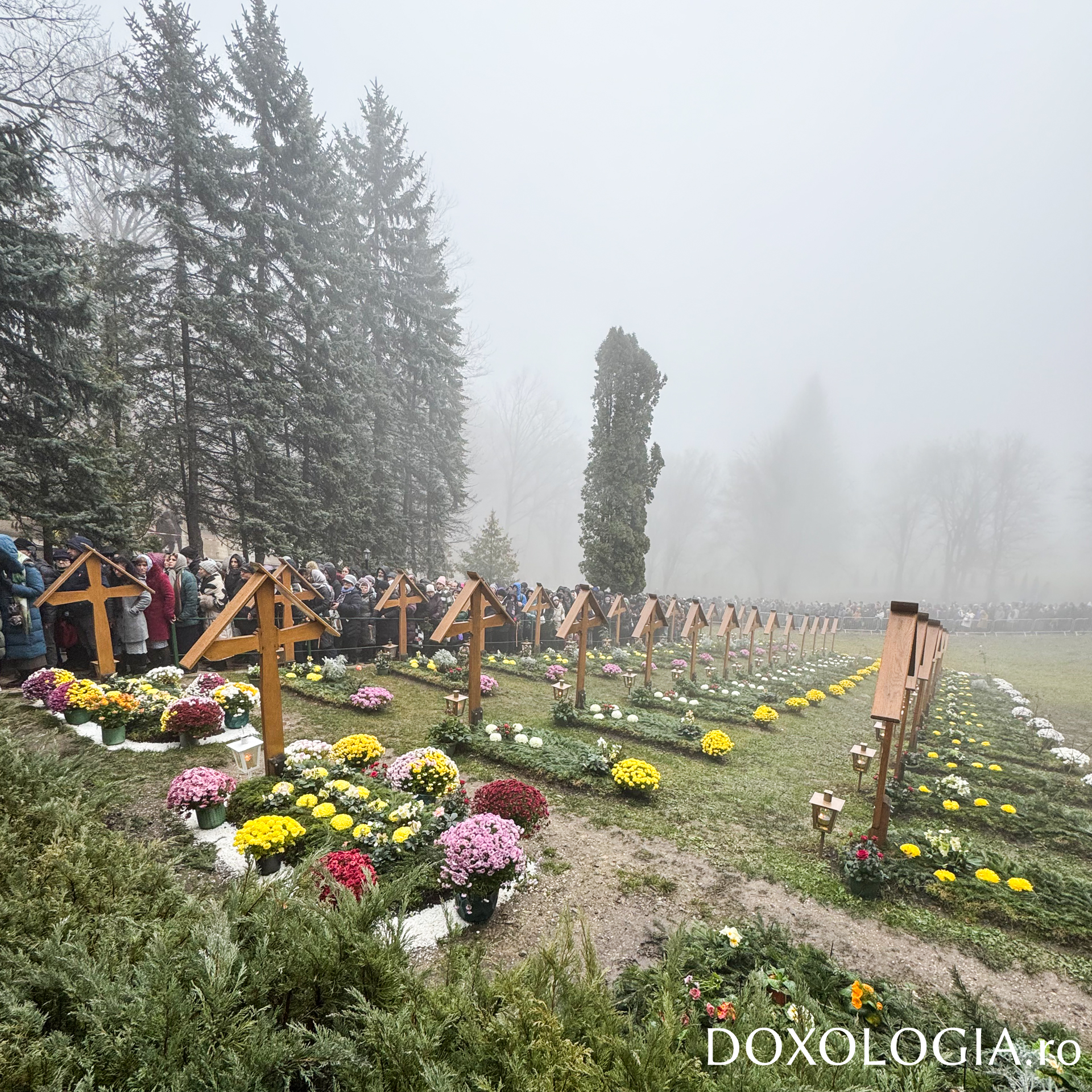 De la fotografia evitată la icoana strânsă la piept – cum am ajuns să-l cunosc pe Sfântul Arsenie de la Prislop