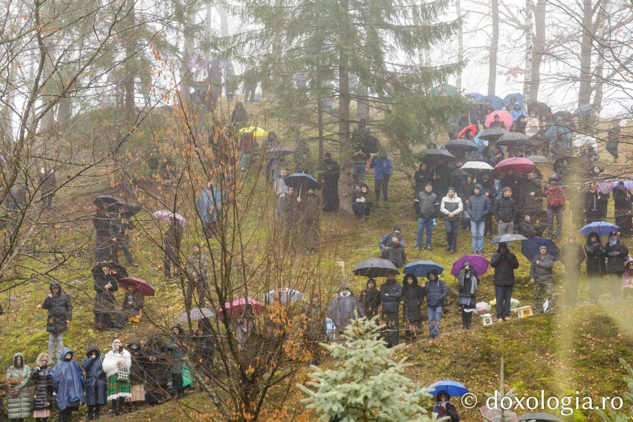 De la fotografia evitată la icoana strânsă la piept – cum am ajuns să-l cunosc pe Sfântul Arsenie de la Prislop