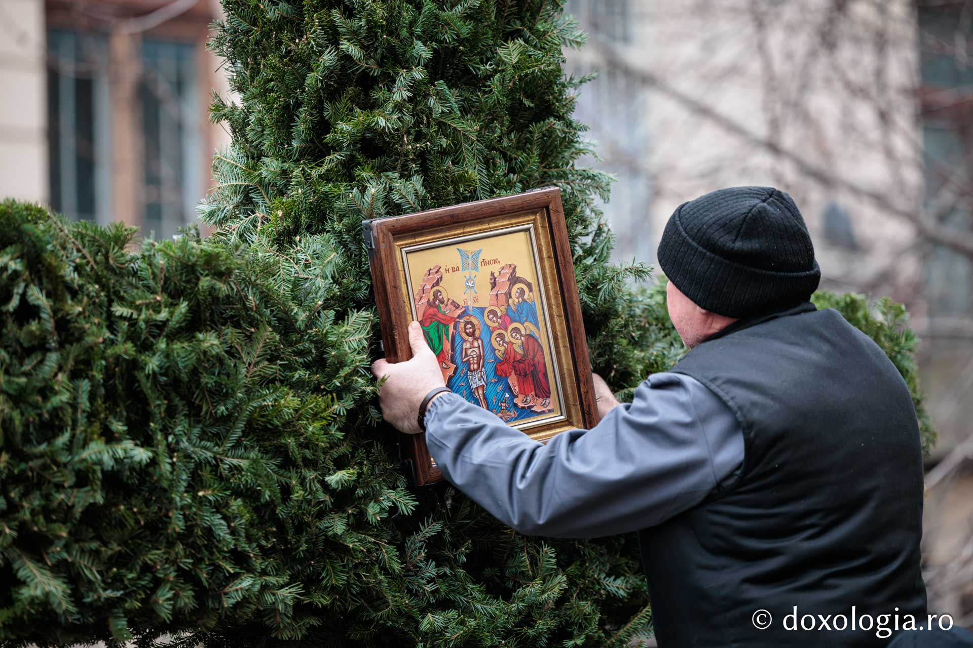 (Foto) Veșmânt din cetină și crizanteme: Cum a fost împodobită Crucea de Bobotează la Catedrala Mitropolitană din Iași