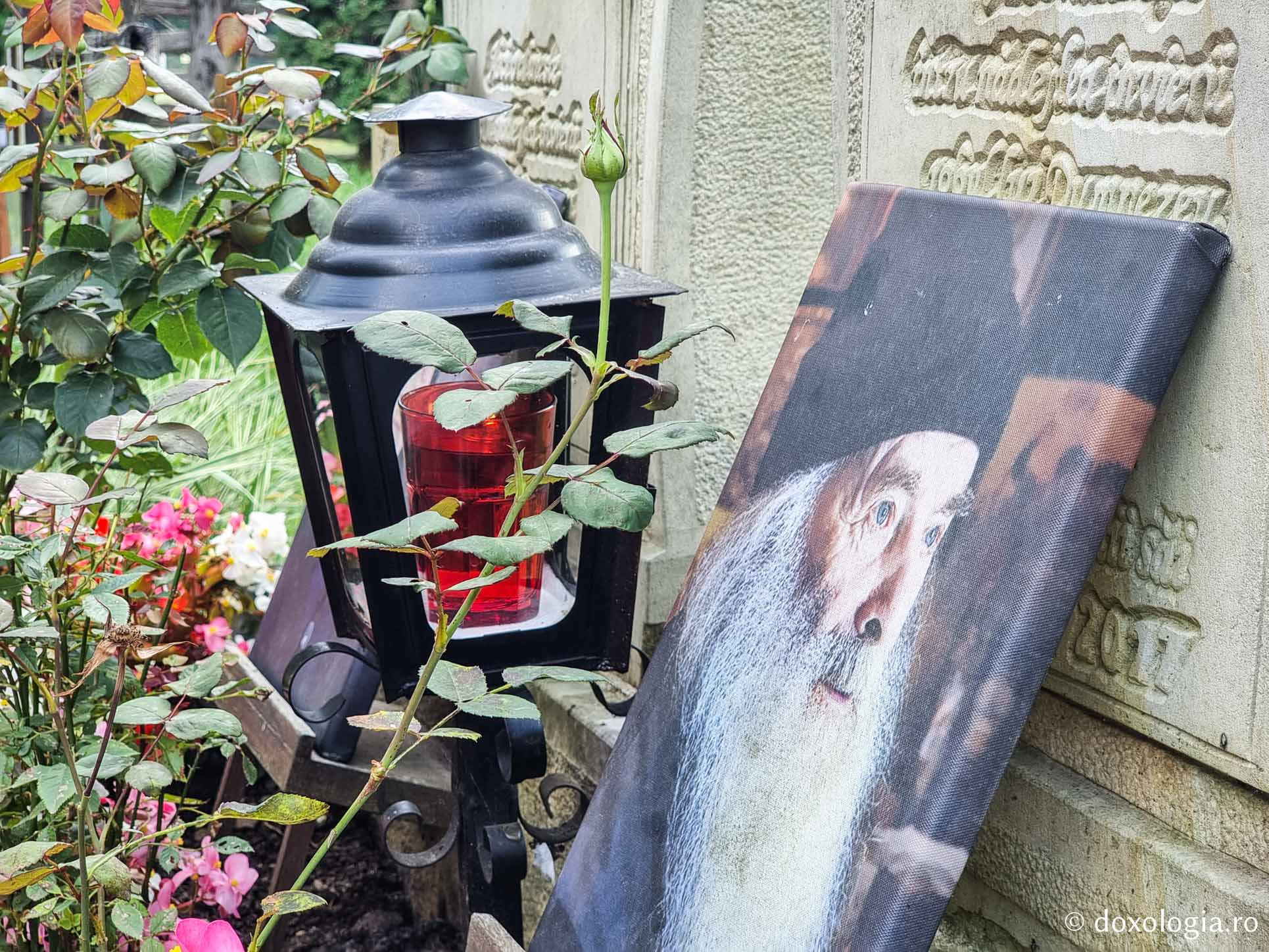 fotografie de la mormantul parintelui Proclu Nicau