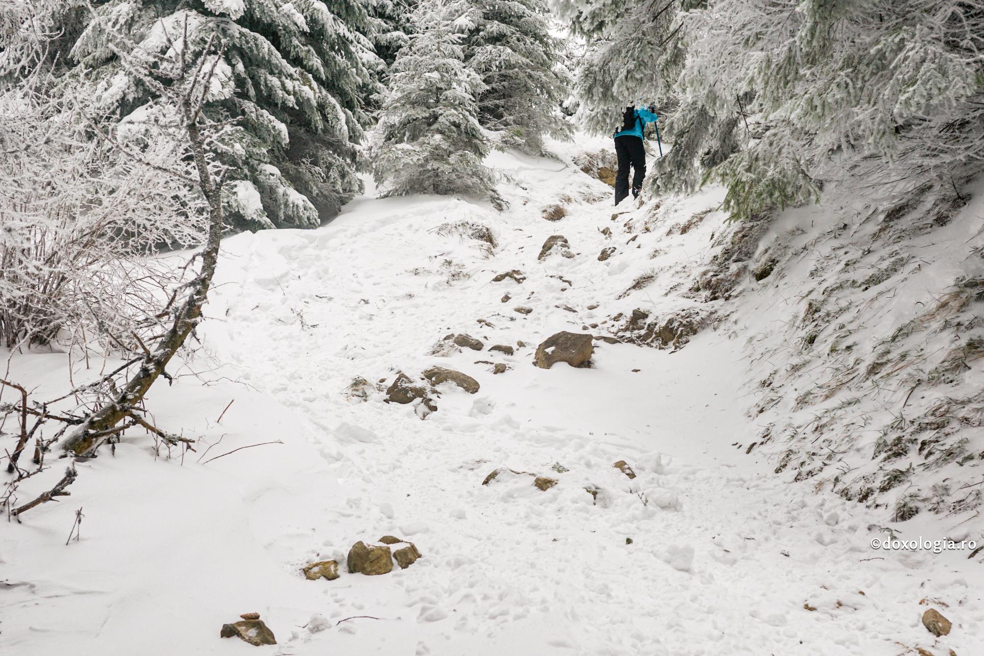 drum de munte inzapezit