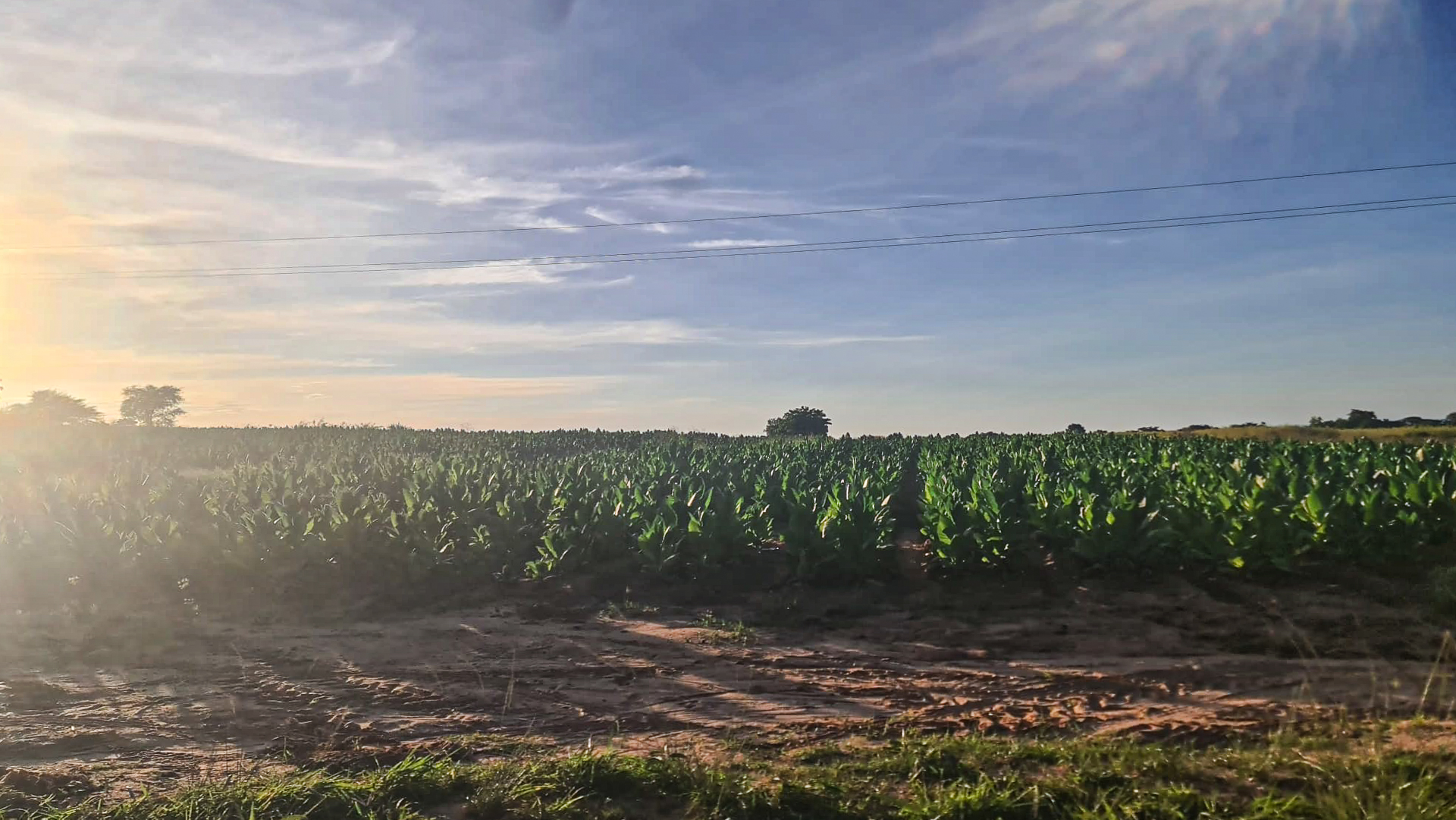 Liceul „Dimitrios” din Magubike – locul unde școala începe cu o sapă